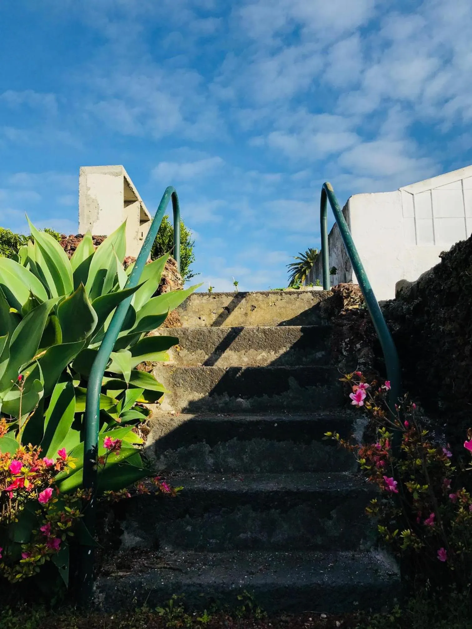 Garden in Herdade do Ananás