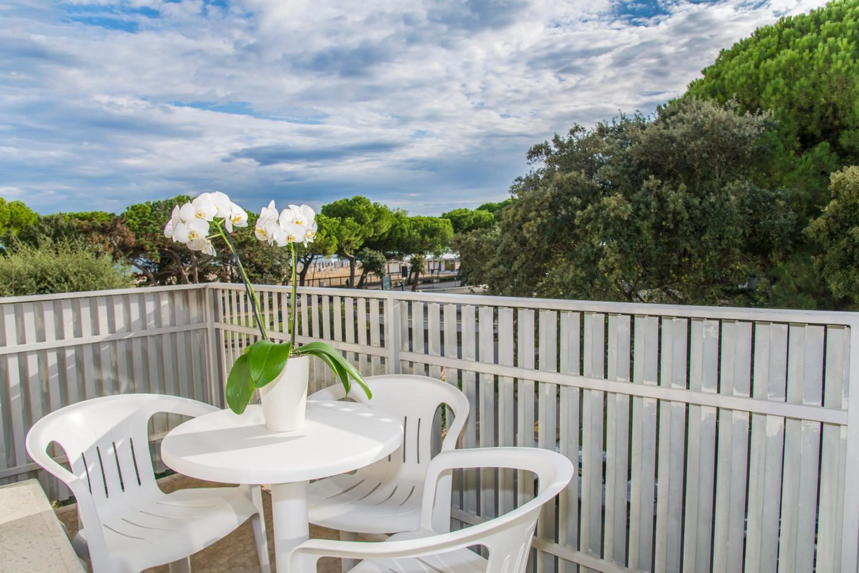 Day in Hotel Miramare