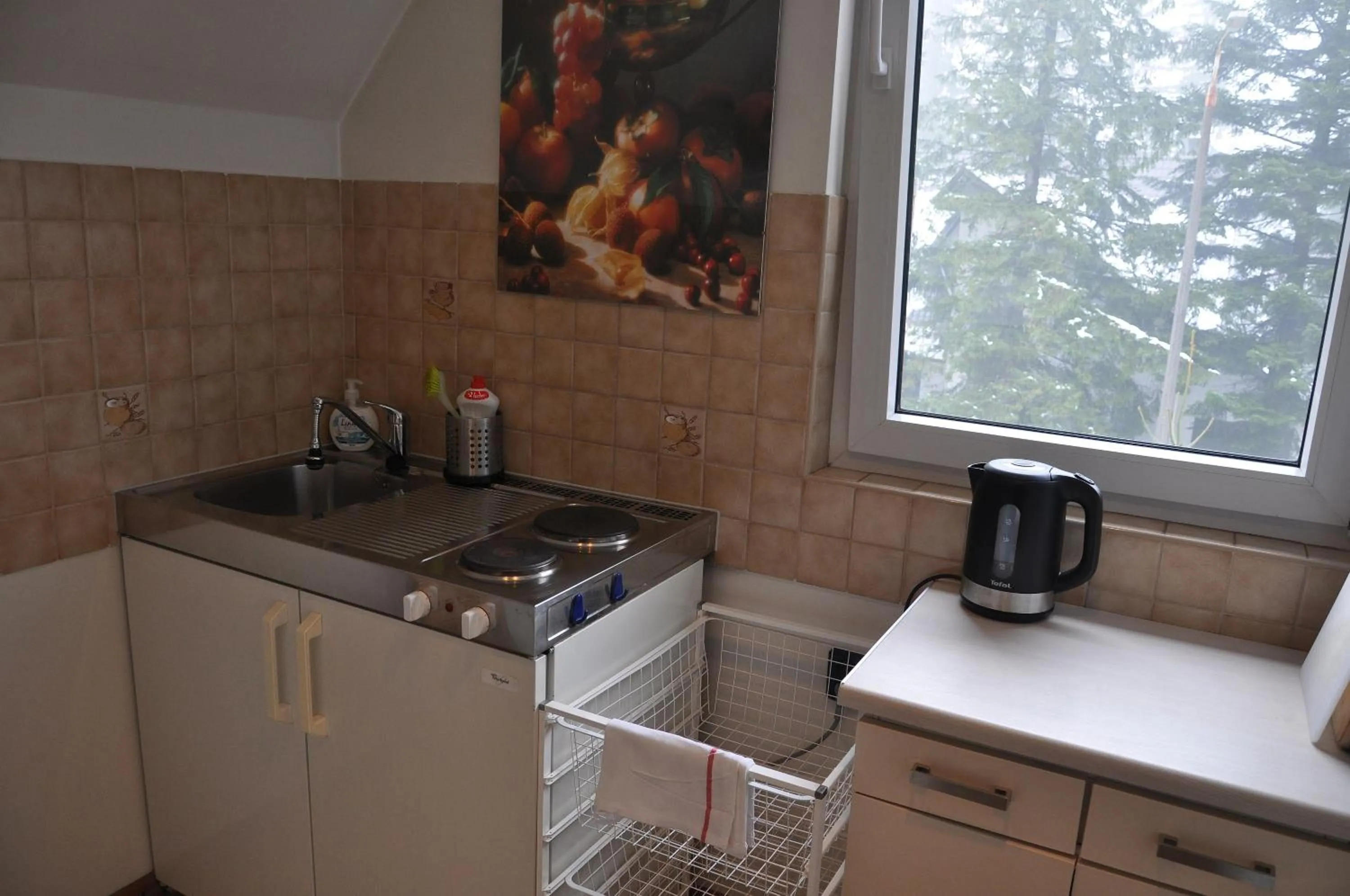 Kitchen or kitchenette in Willa Marma B&B