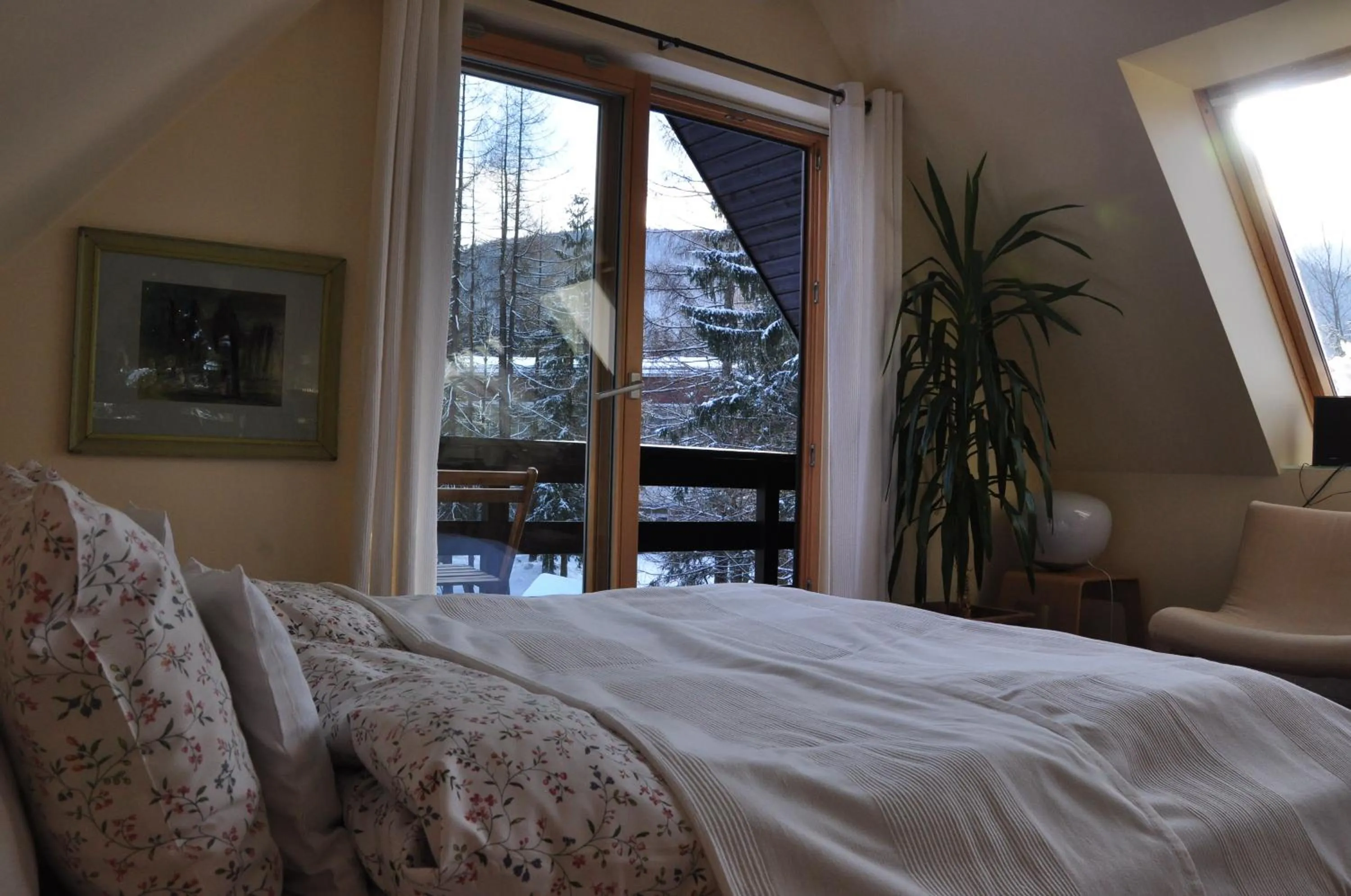 Bed in Willa Marma B&B