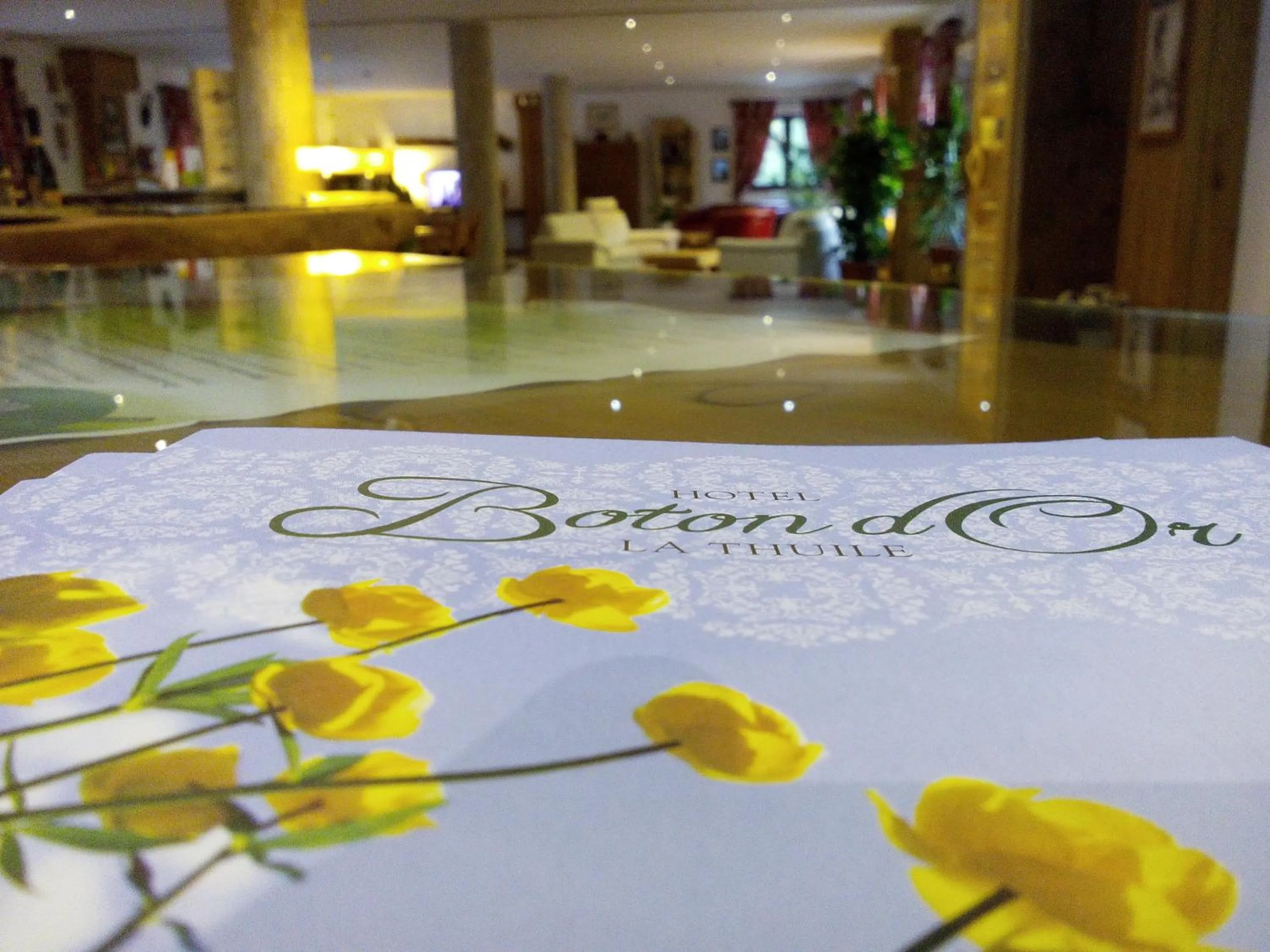 Property logo or sign in Hotel Boton D'Or & Wellness a La Thuile