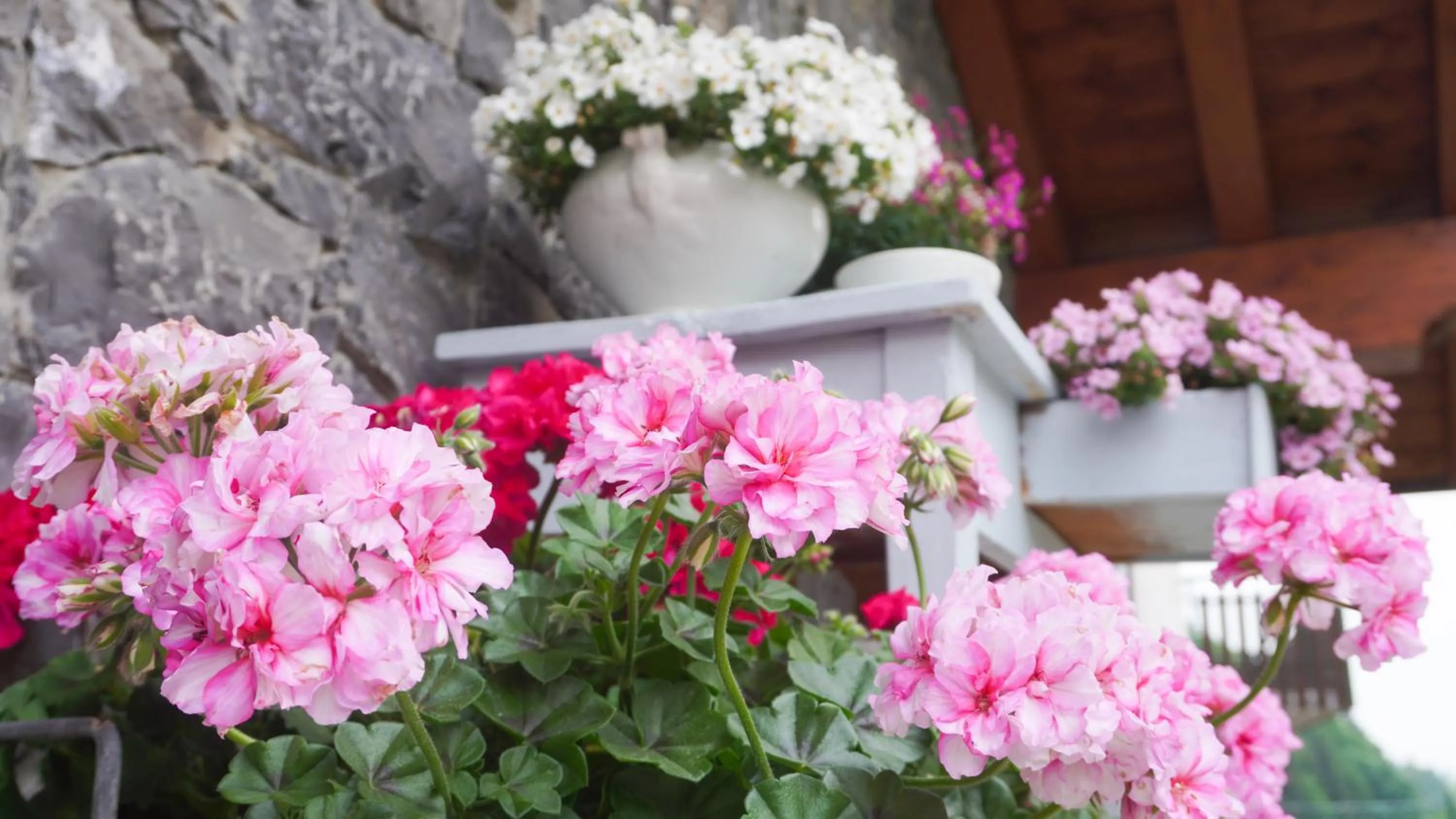 Decorative detail in B&B Casa Dolce Casa