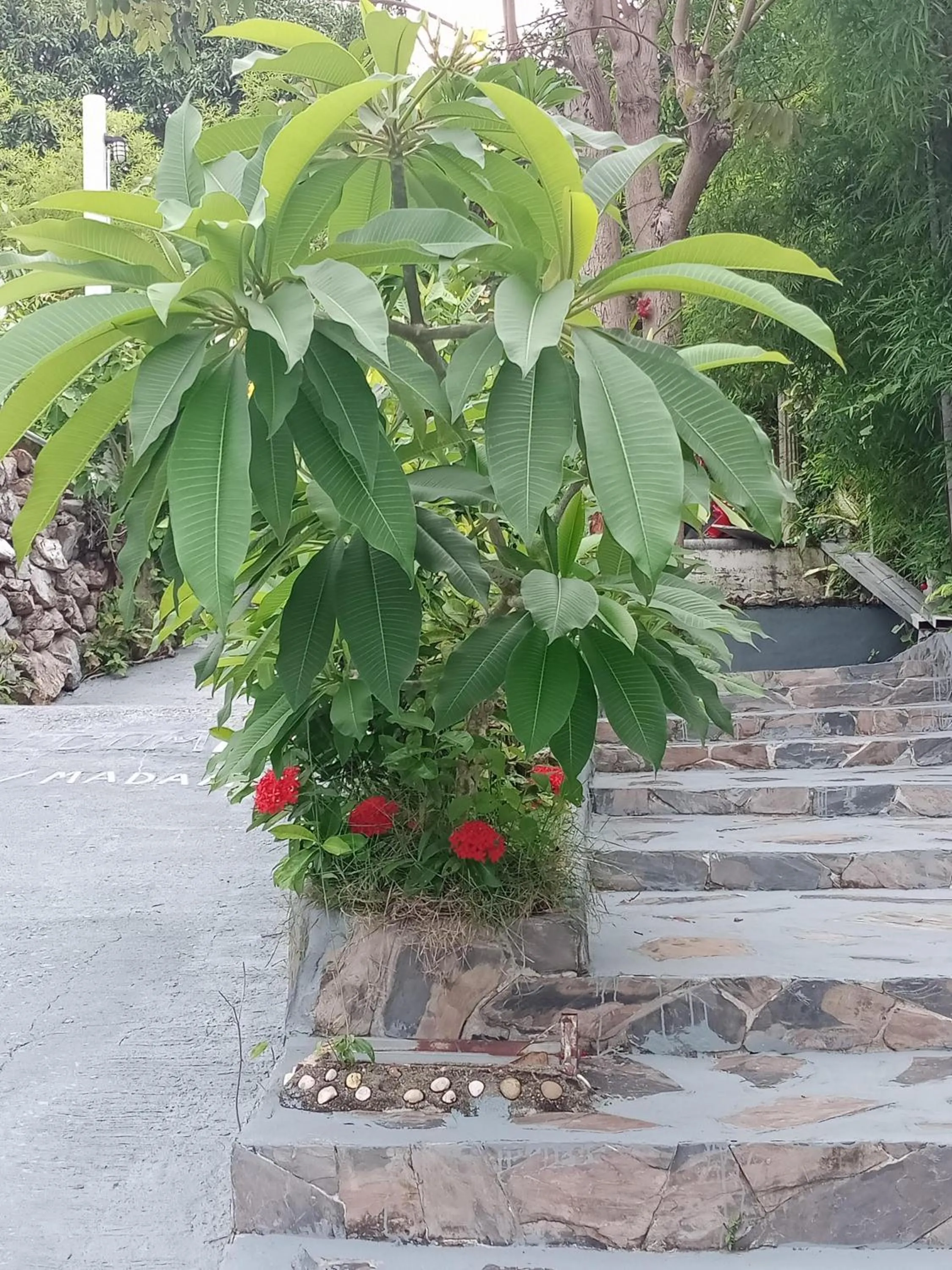 Comon Bungalow HaadChaoPhao