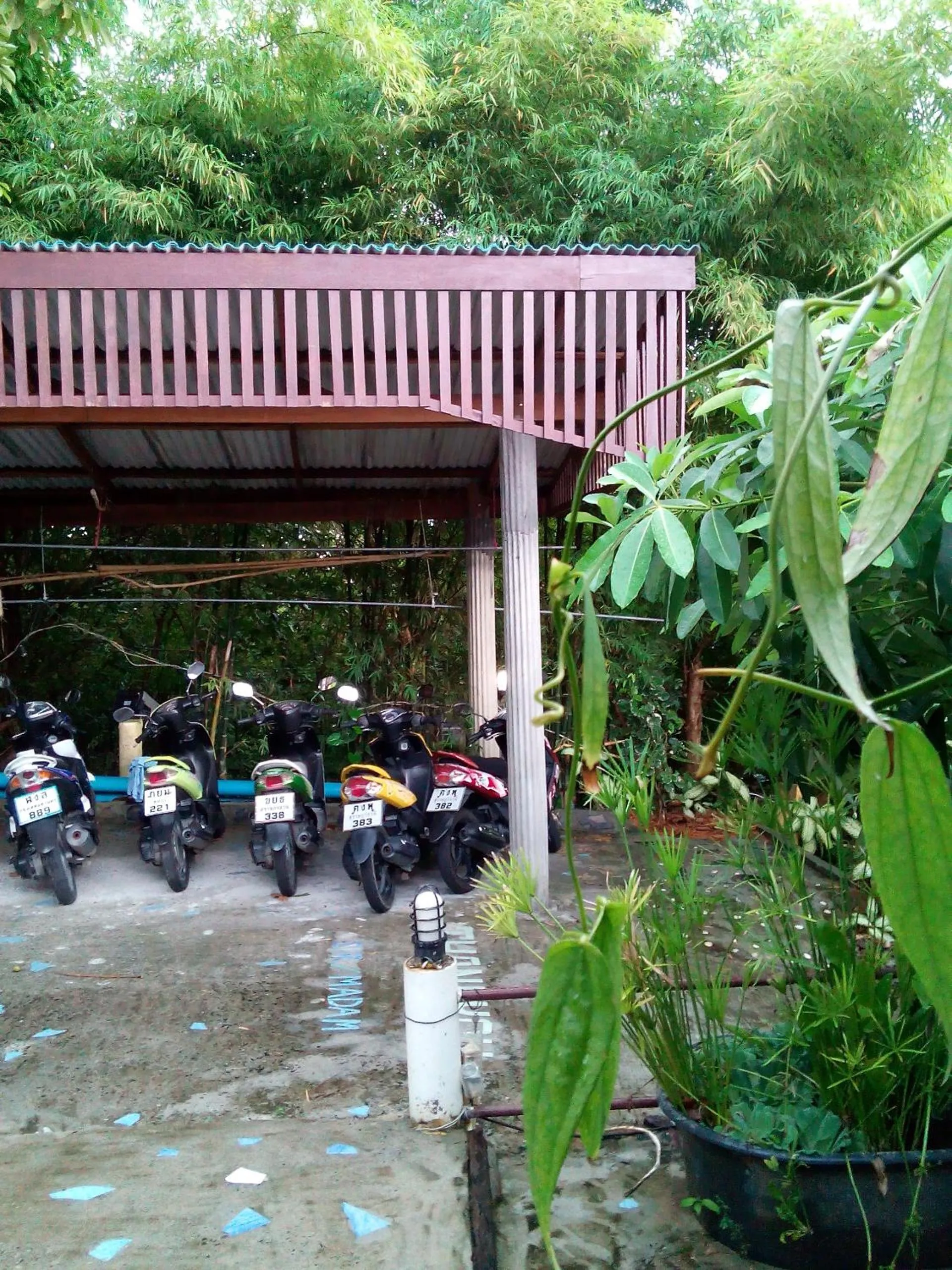 Garden in Comon Bungalow HaadChaoPhao