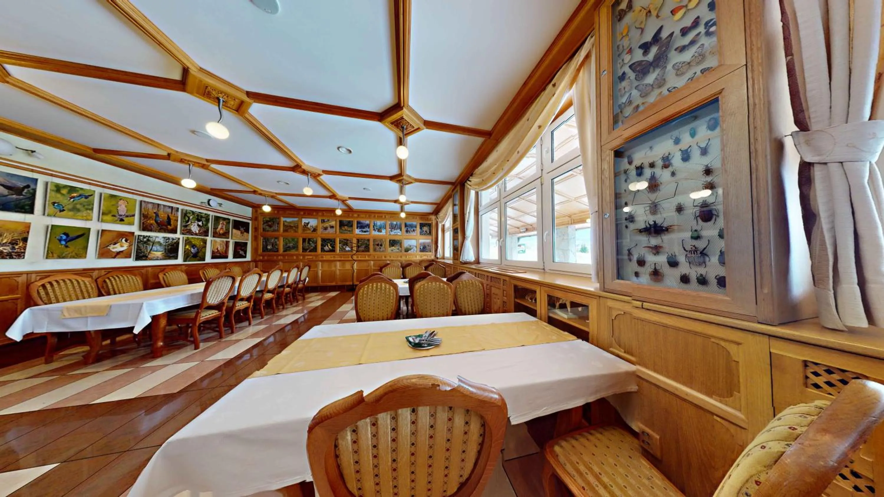 Restaurant/places to eat in Hotel Diana