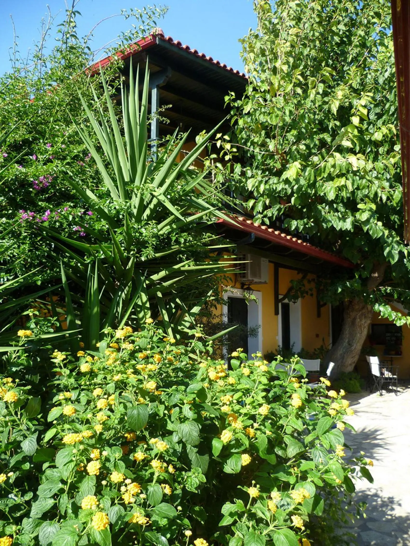 Garden in Meliti Guesthouse