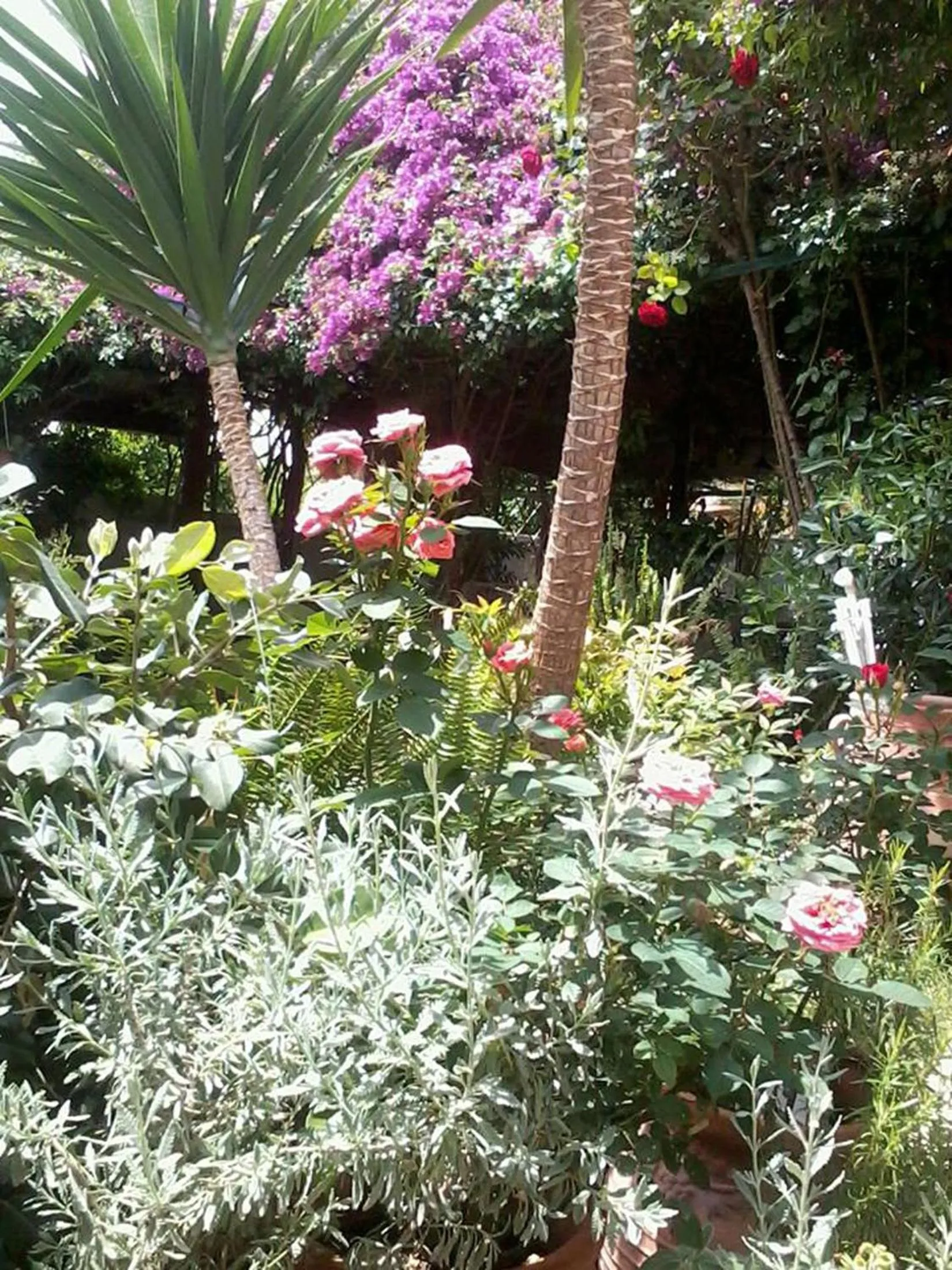 Summer in Meliti Guesthouse