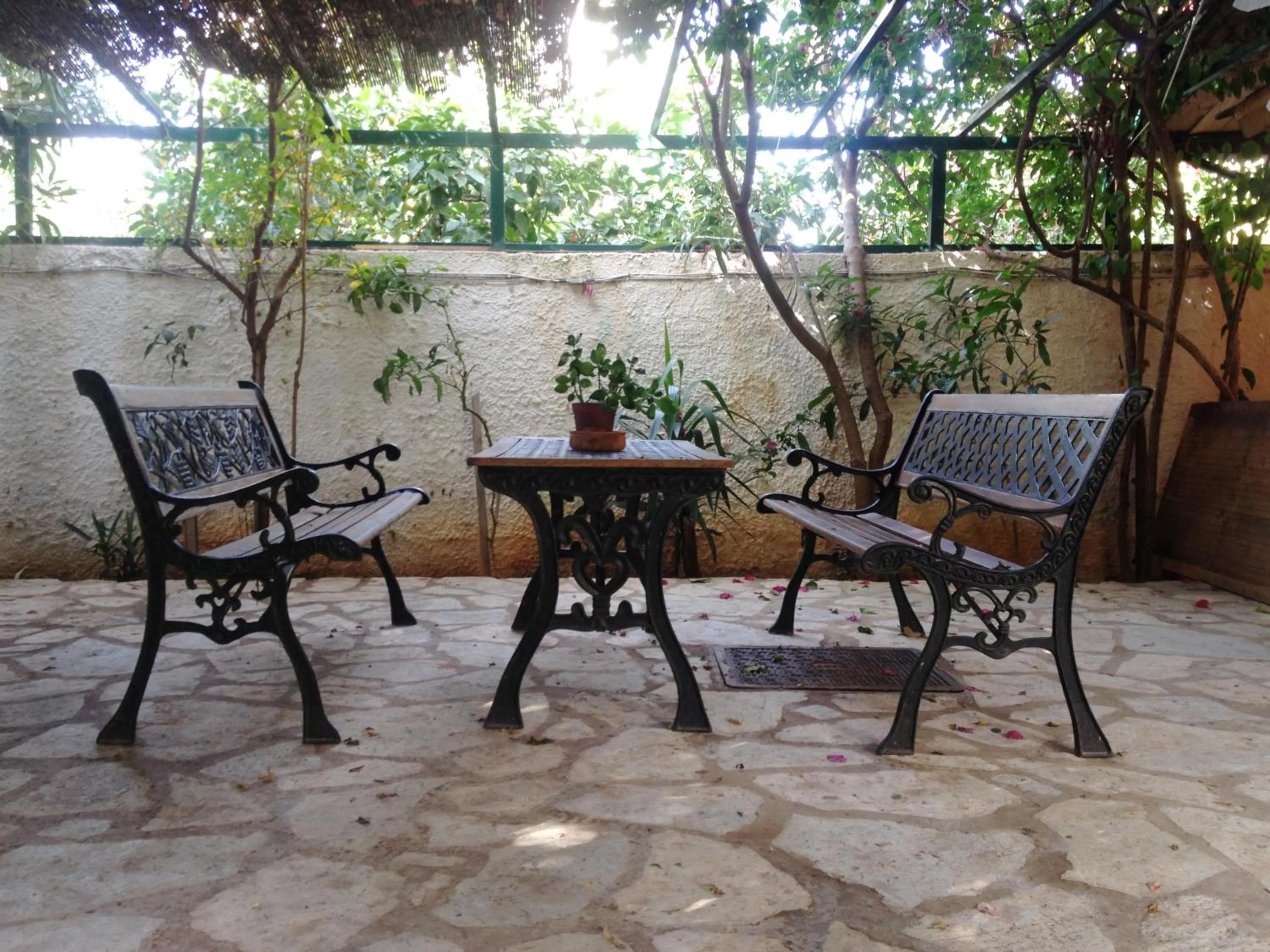 Garden in Meliti Guesthouse