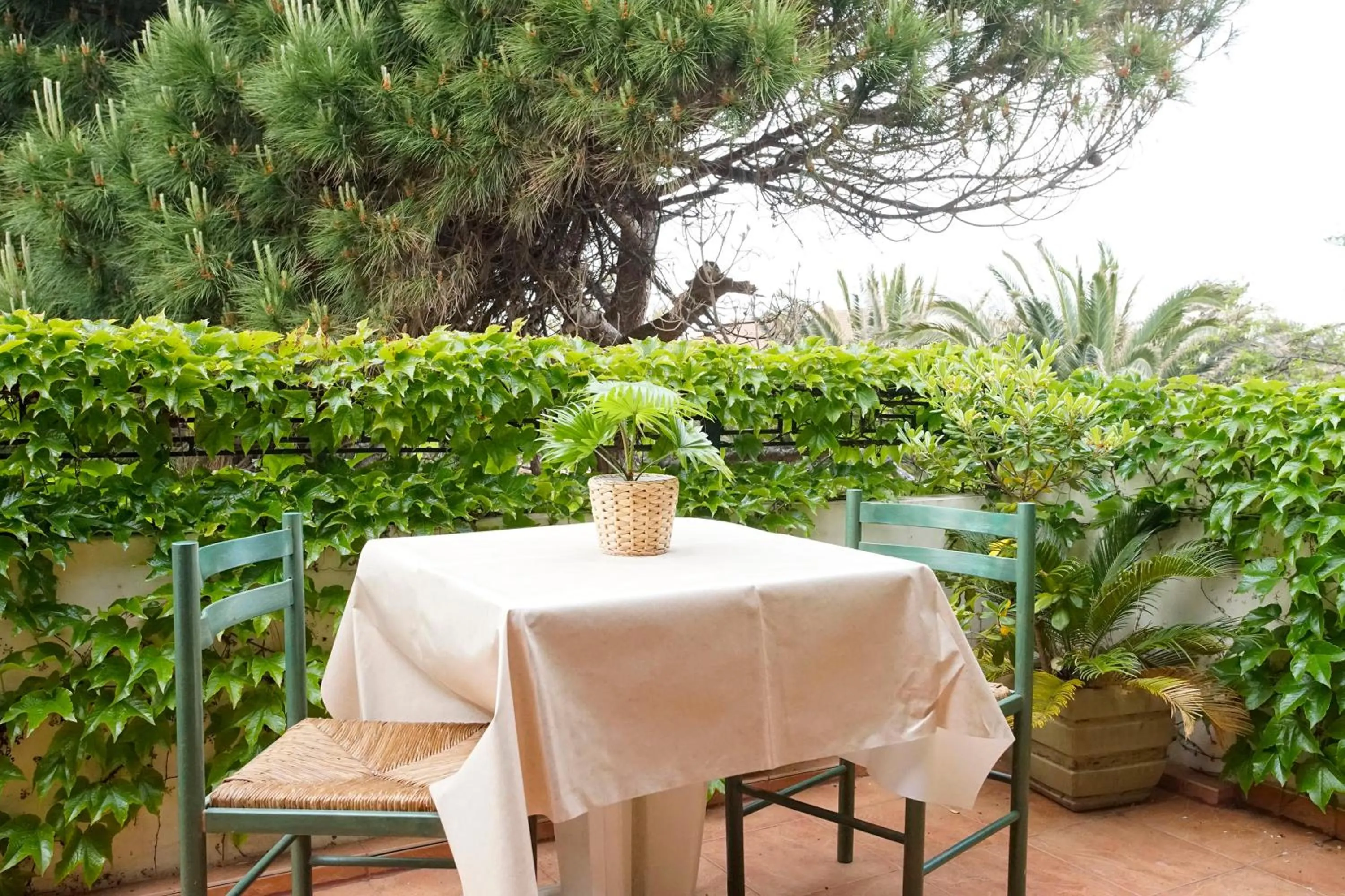 Balcony/Terrace in Résidence Les Mandariniers