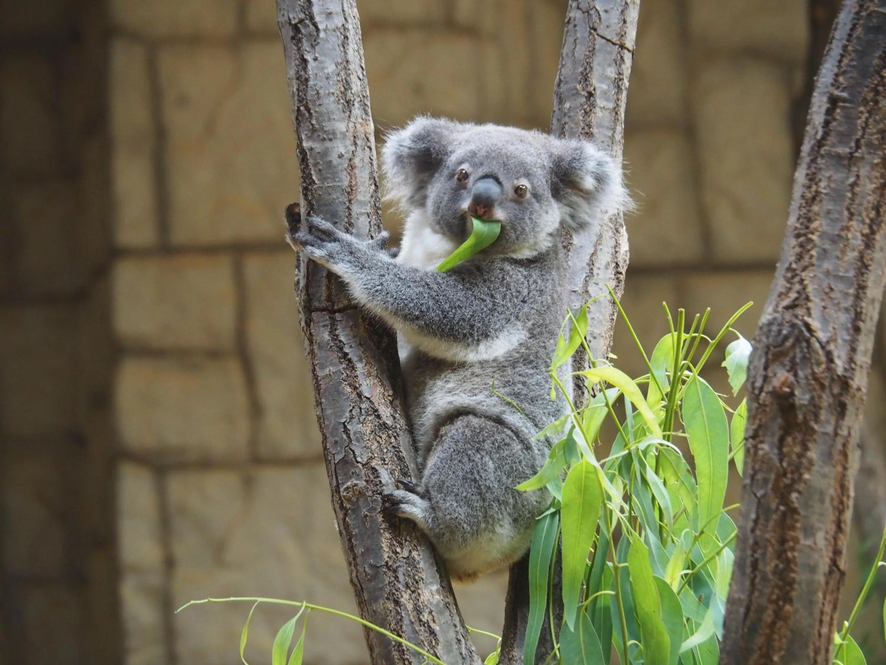 Nearby landmark in Vessel Hotel Campana Nagoya