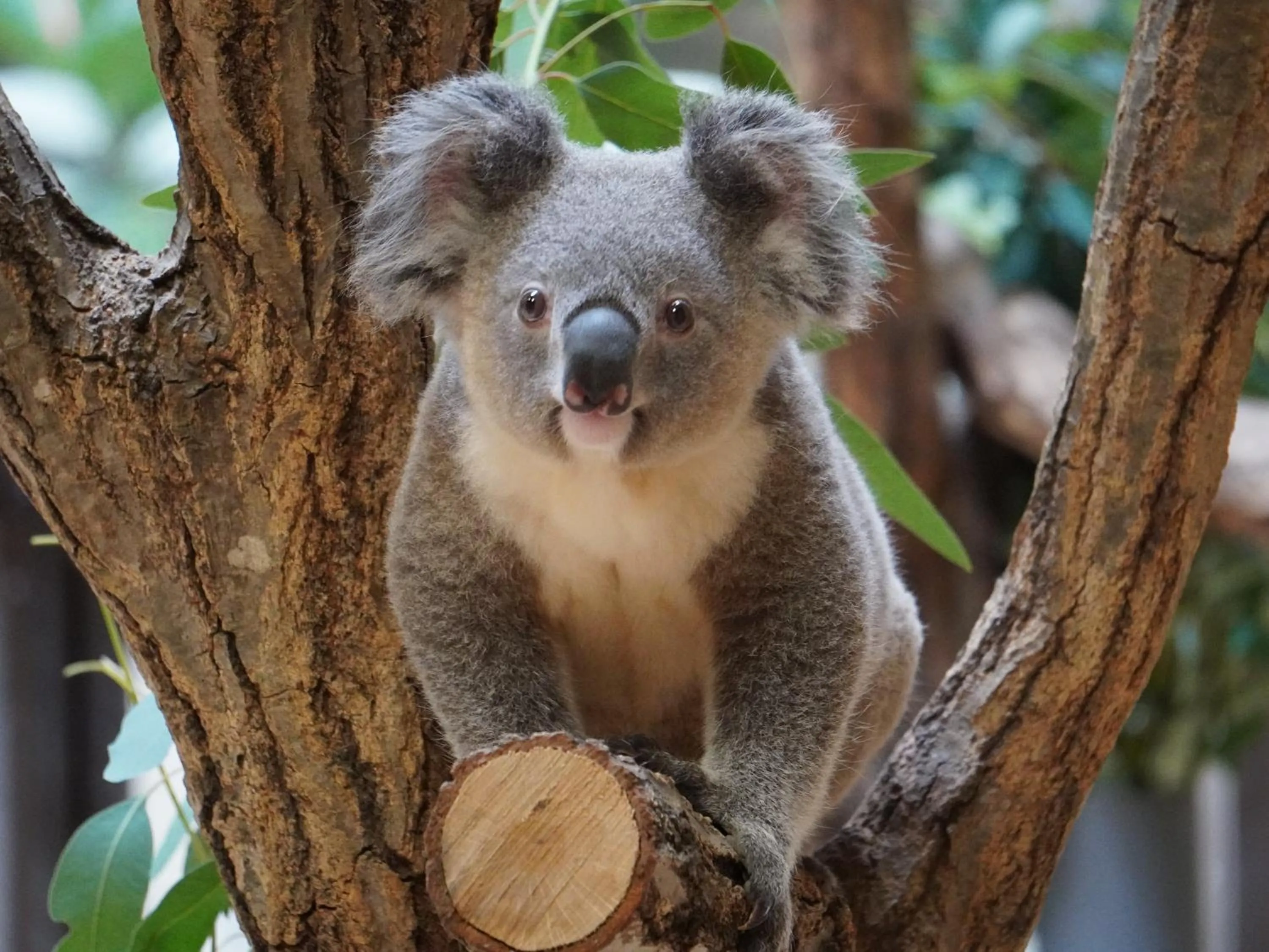 Nearby landmark in Vessel Hotel Campana Nagoya