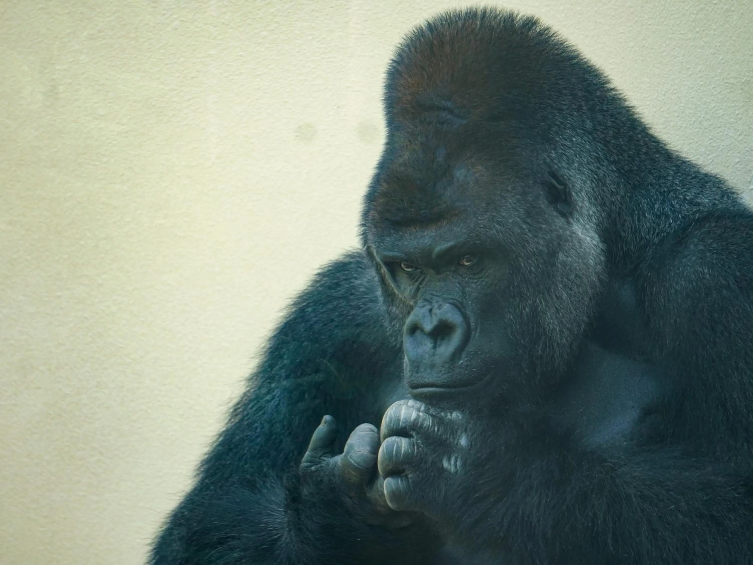 Nearby landmark in Vessel Hotel Campana Nagoya