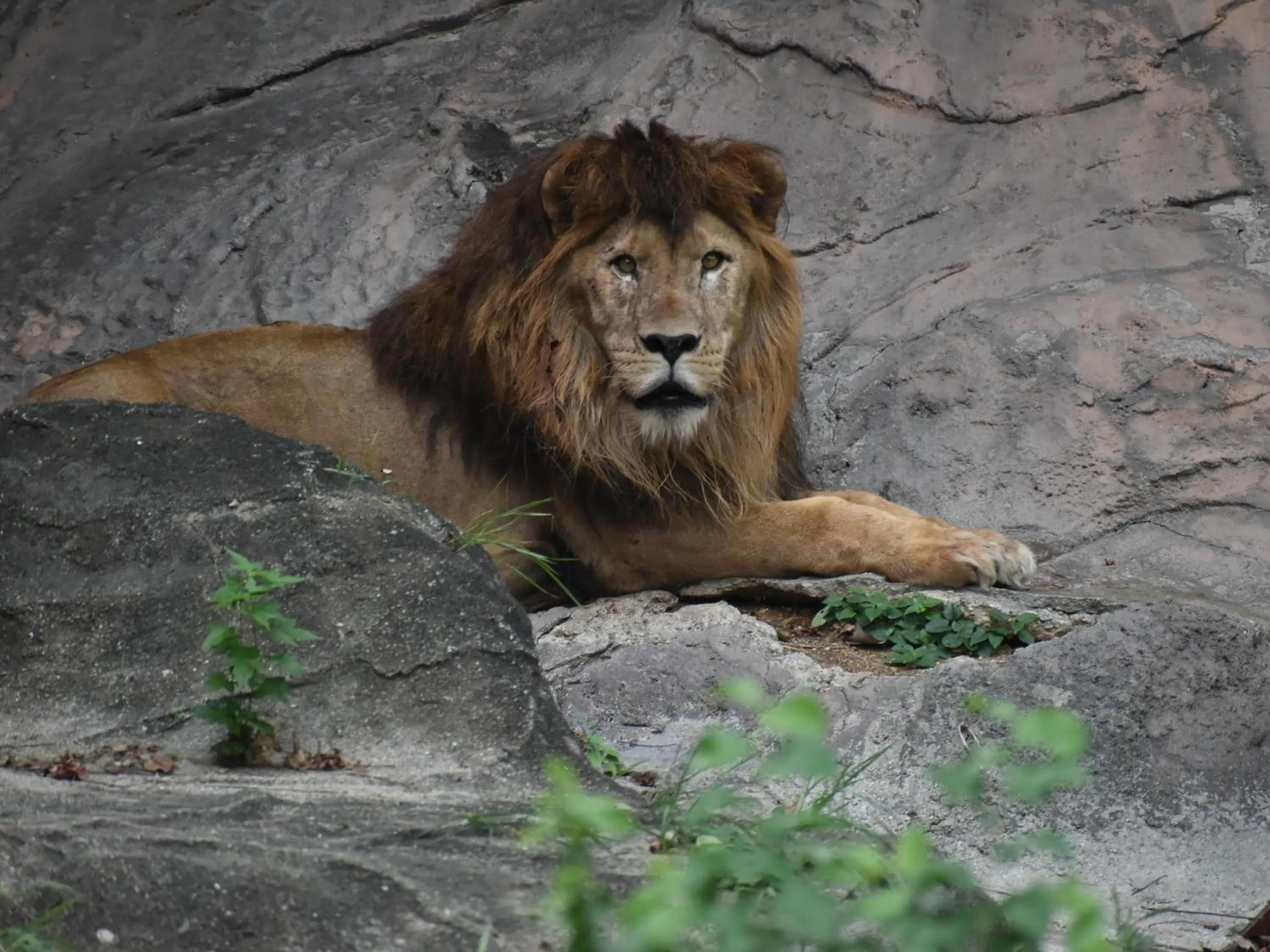 Nearby landmark in Vessel Hotel Campana Nagoya