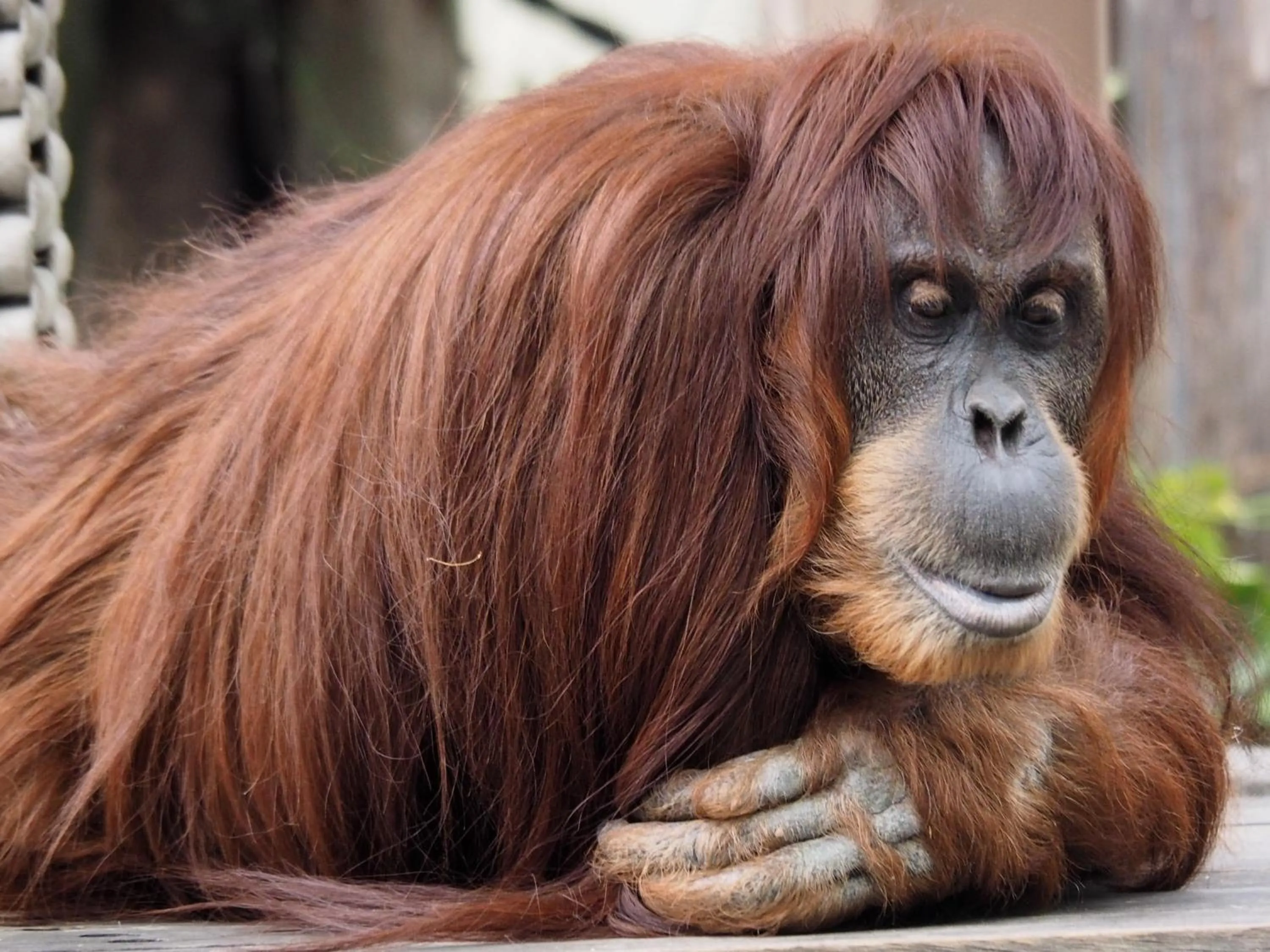 Nearby landmark in Vessel Hotel Campana Nagoya