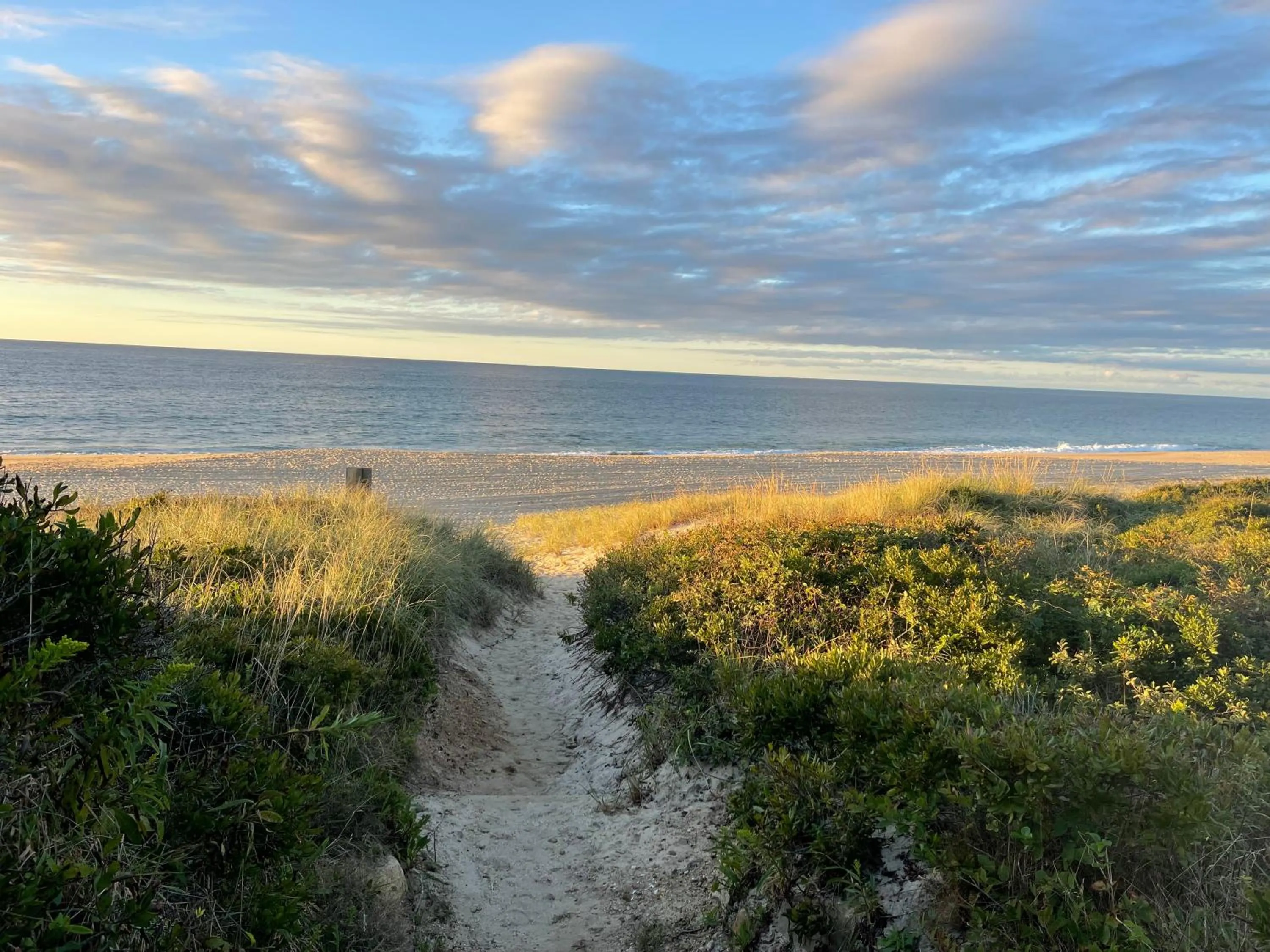Beach in Hartman's Briney Breezes Beach Resort