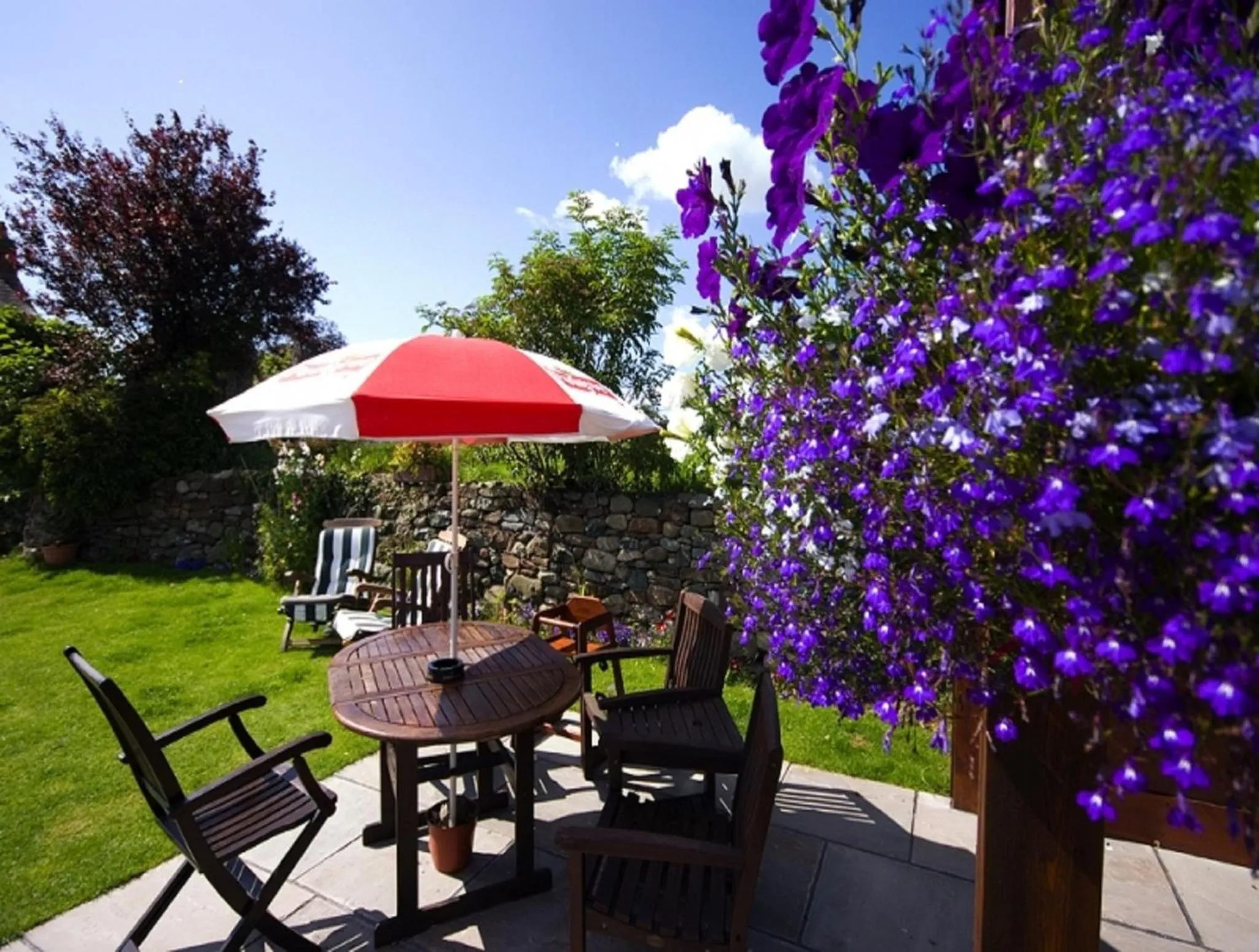 Garden in Black Swan