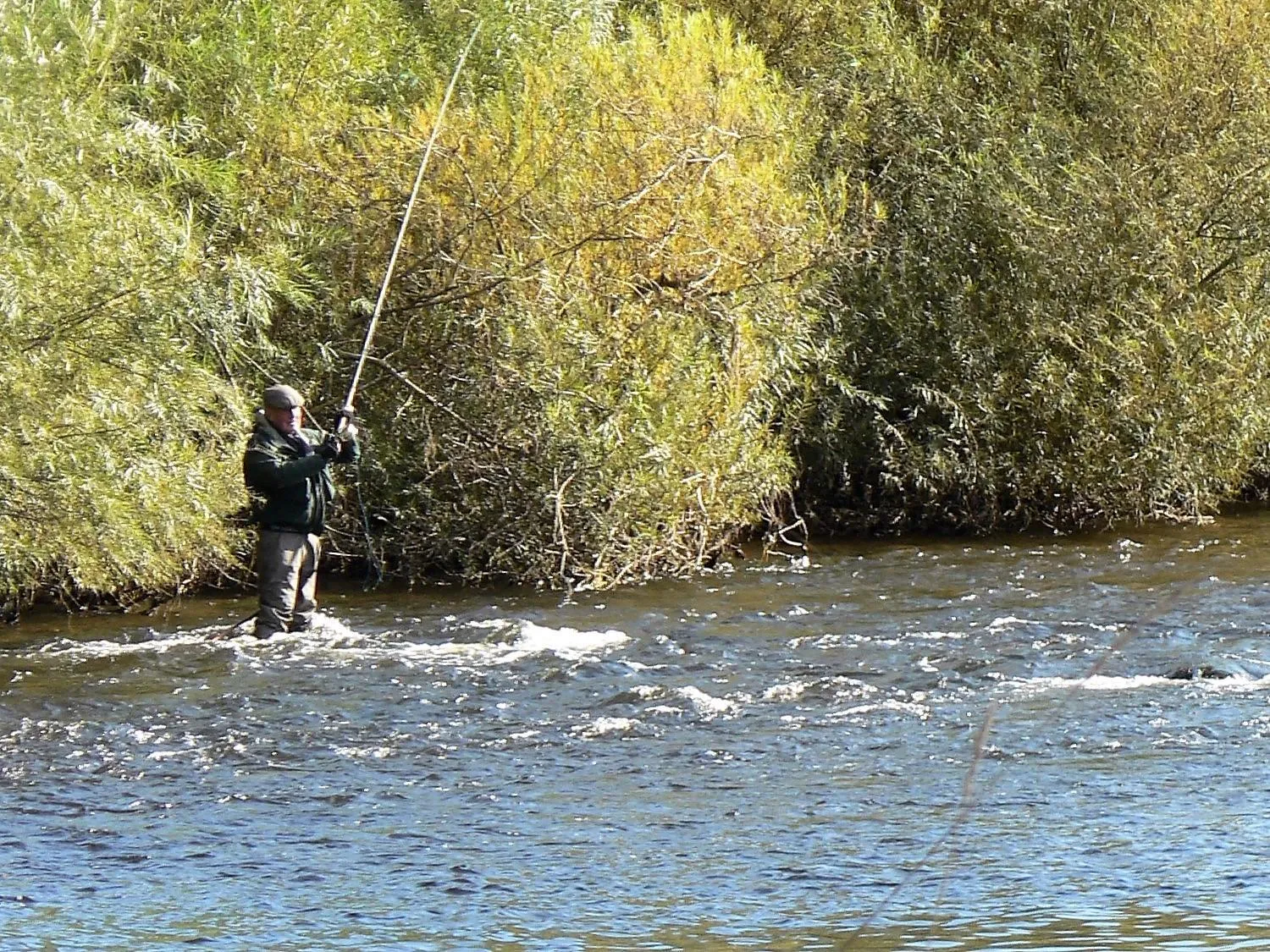 Fishing in Black Swan