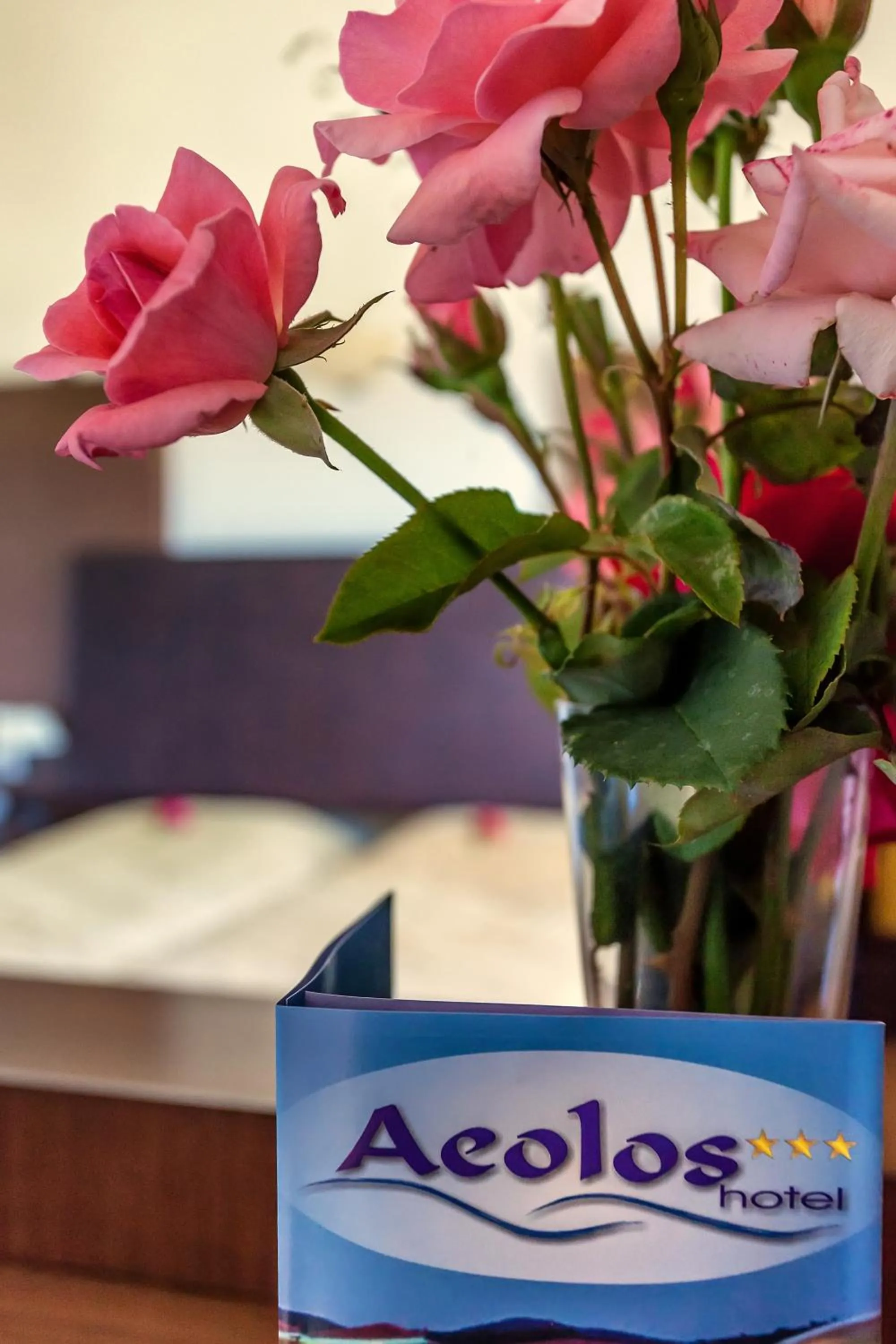 Property logo or sign in Aeolos Hotel