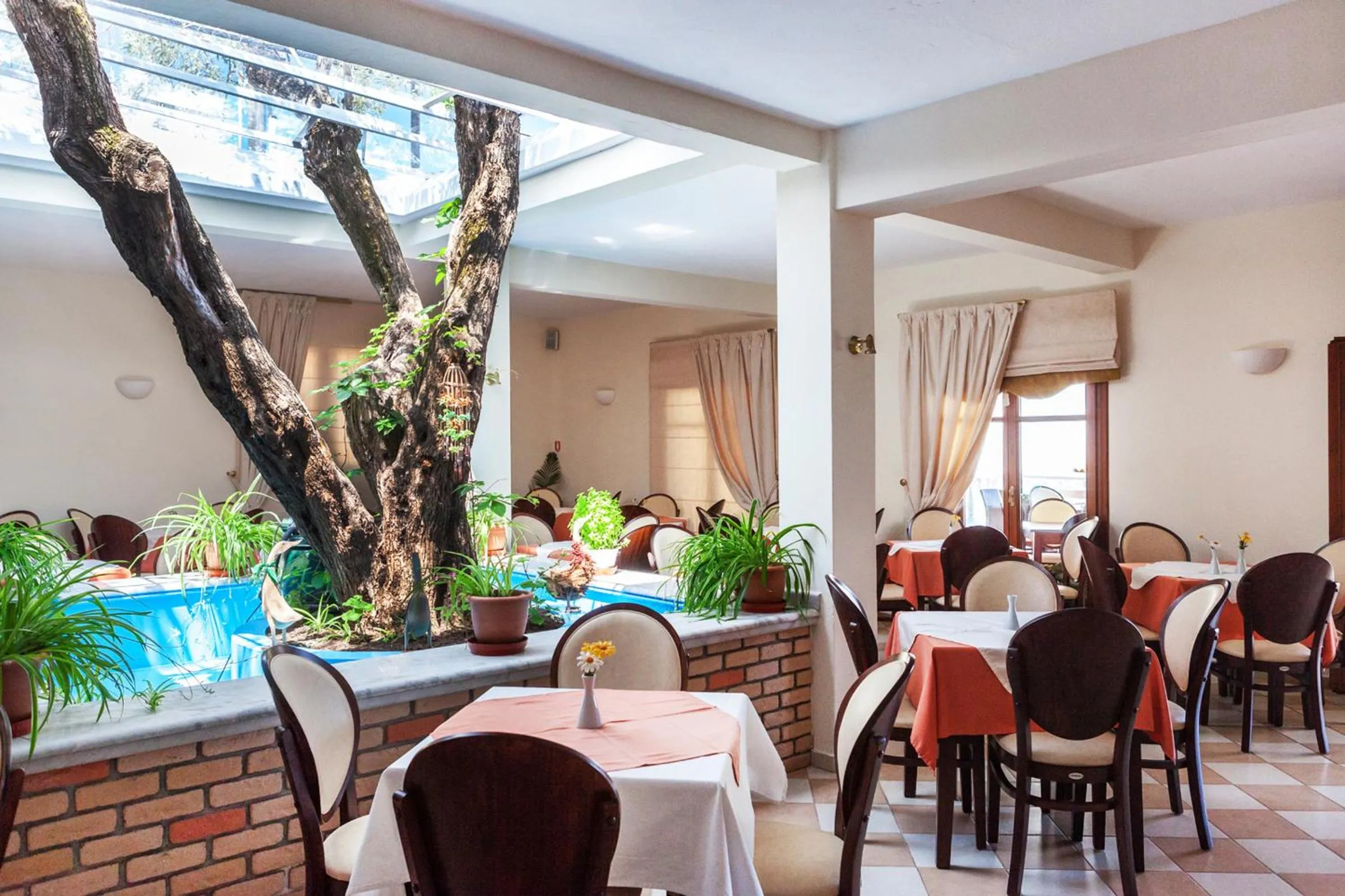 Restaurant/places to eat in Aeolos Hotel