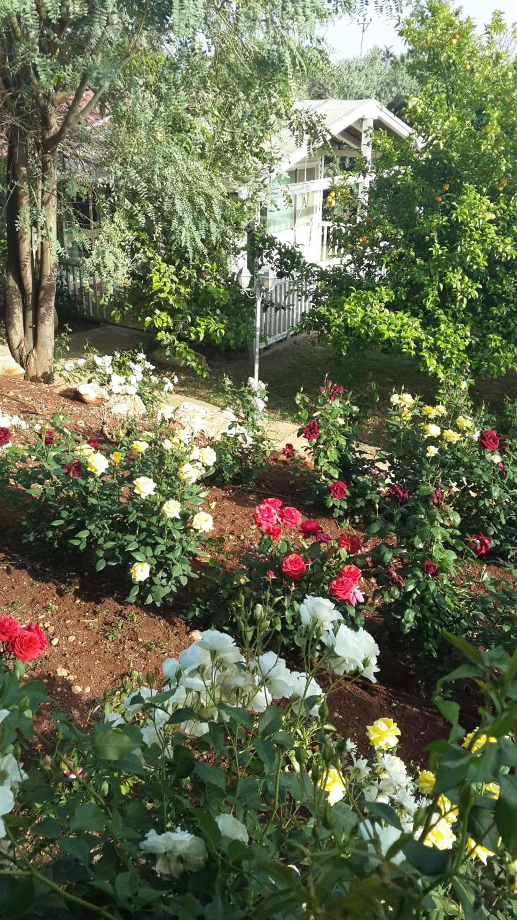 Facade/entrance in Betzel Ha'Ella