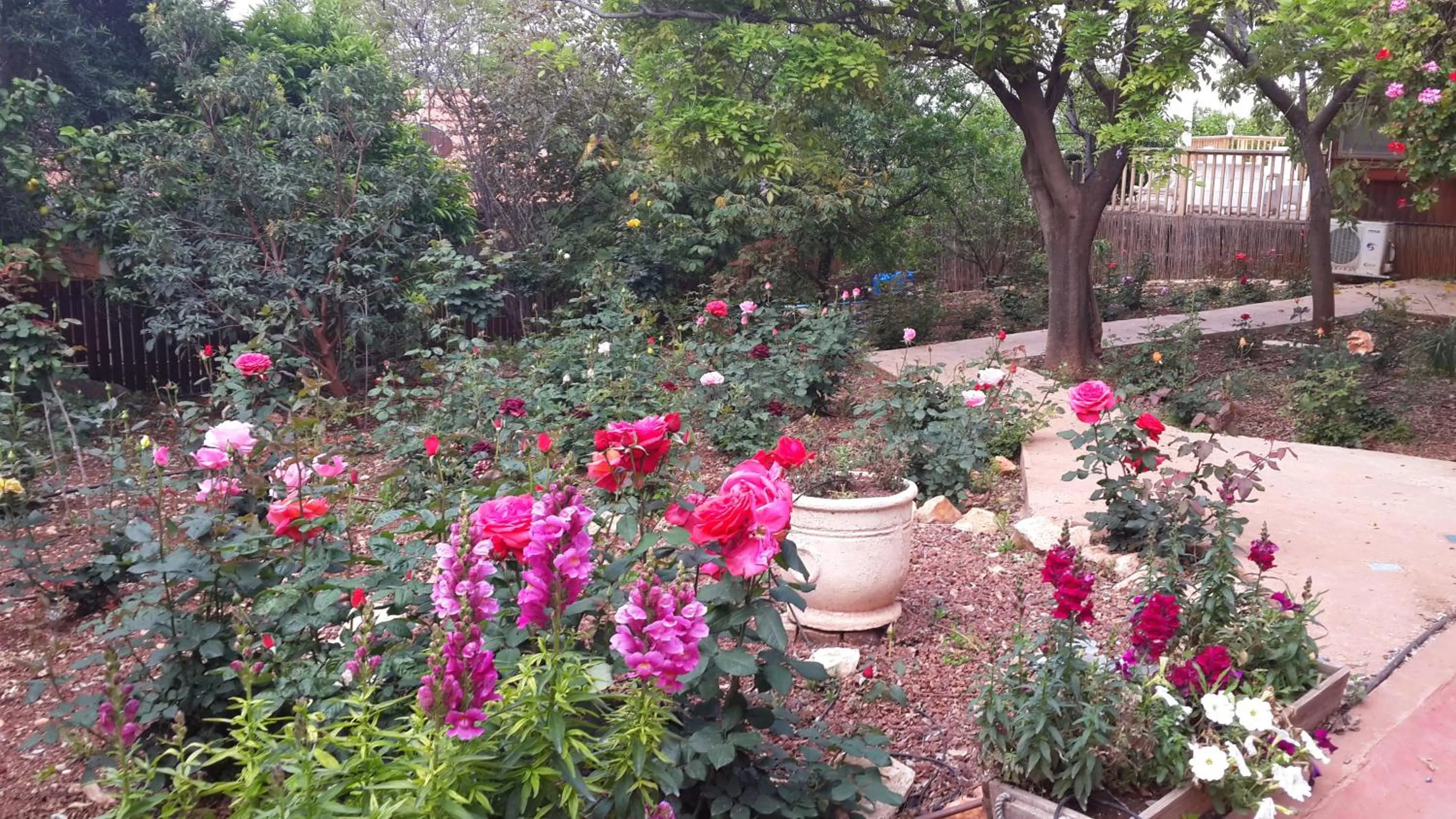 Garden in Betzel Ha'Ella