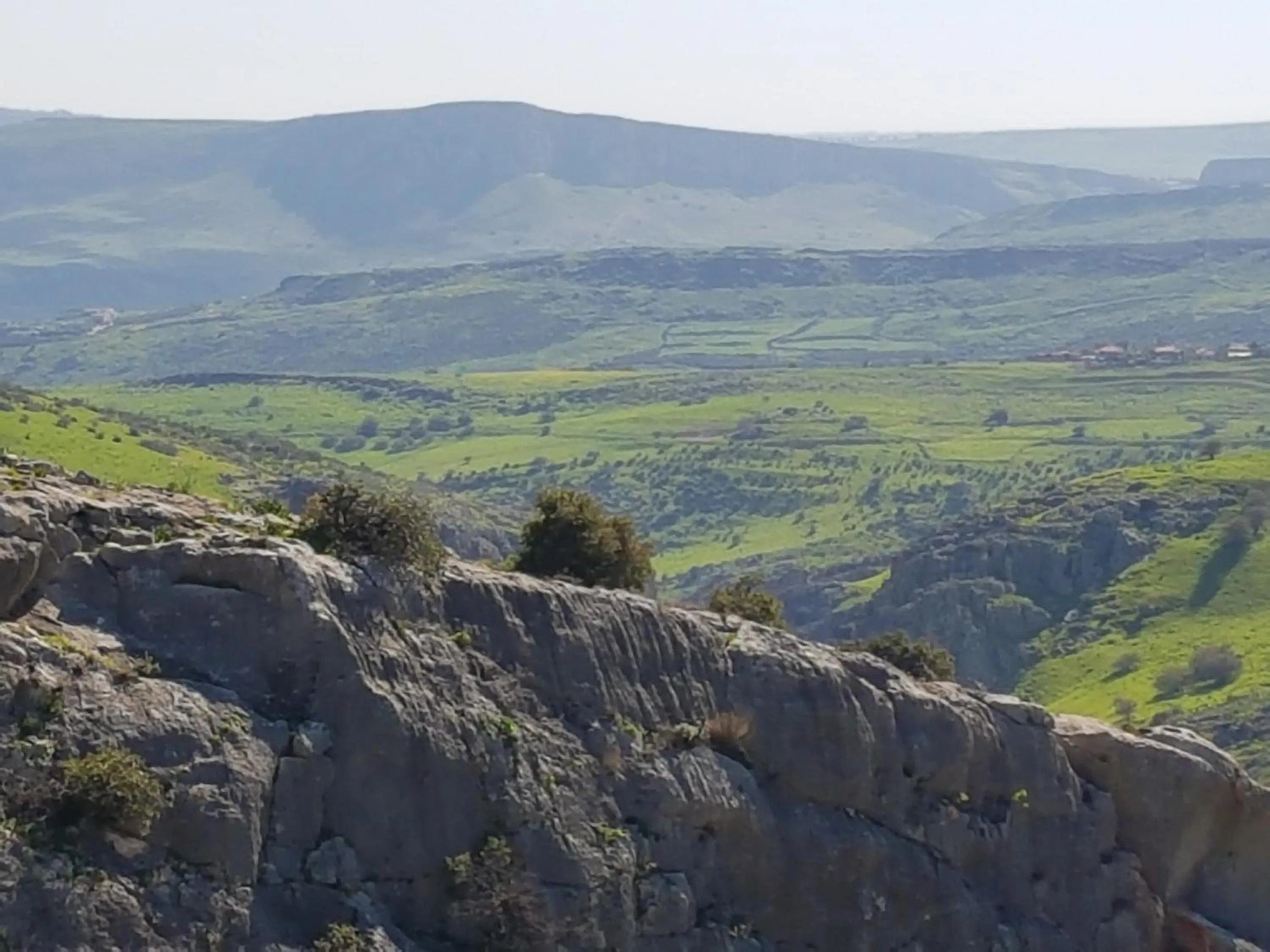 Natural landscape in Betzel Ha'Ella