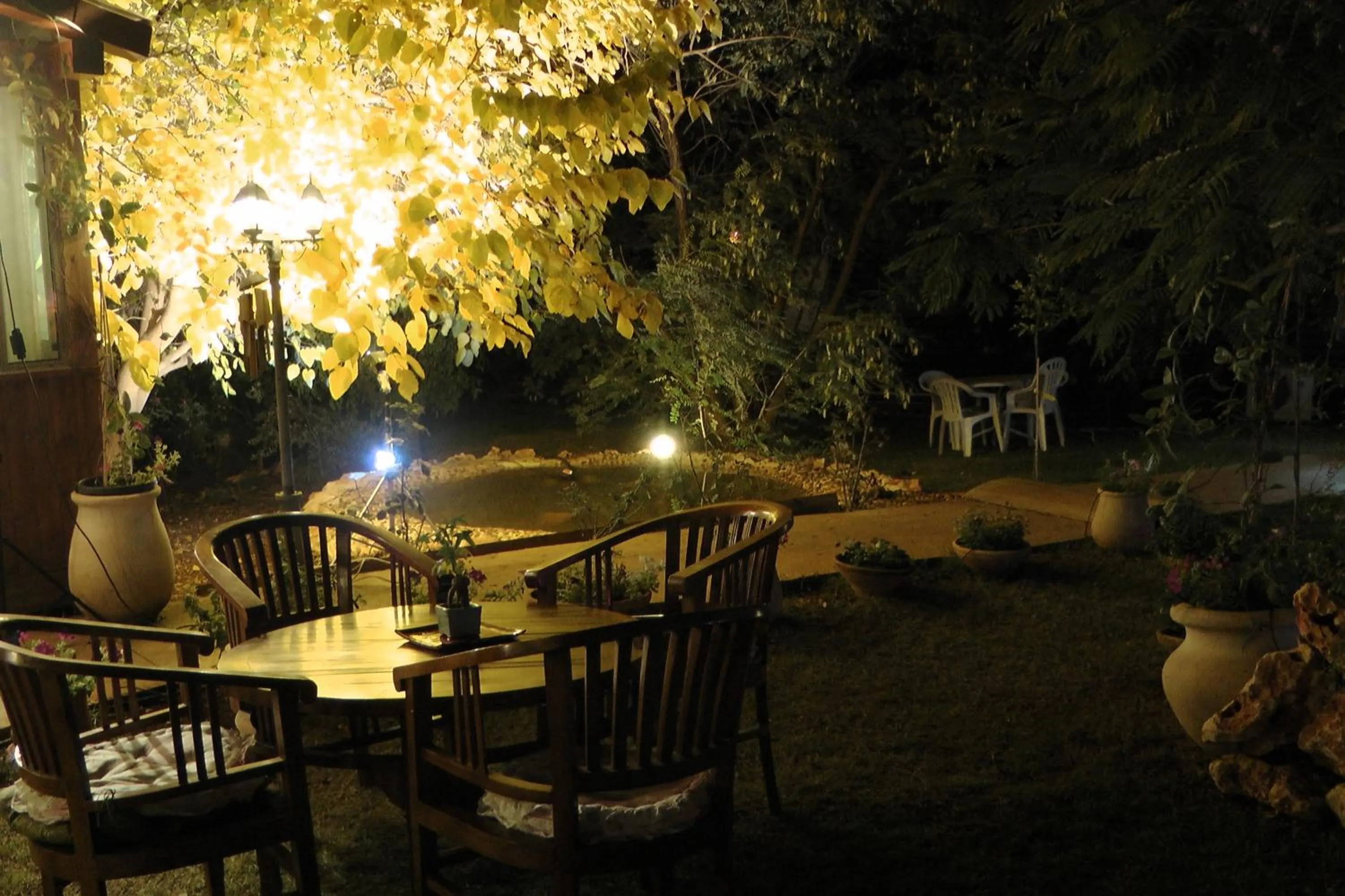 Night in Betzel Ha'Ella