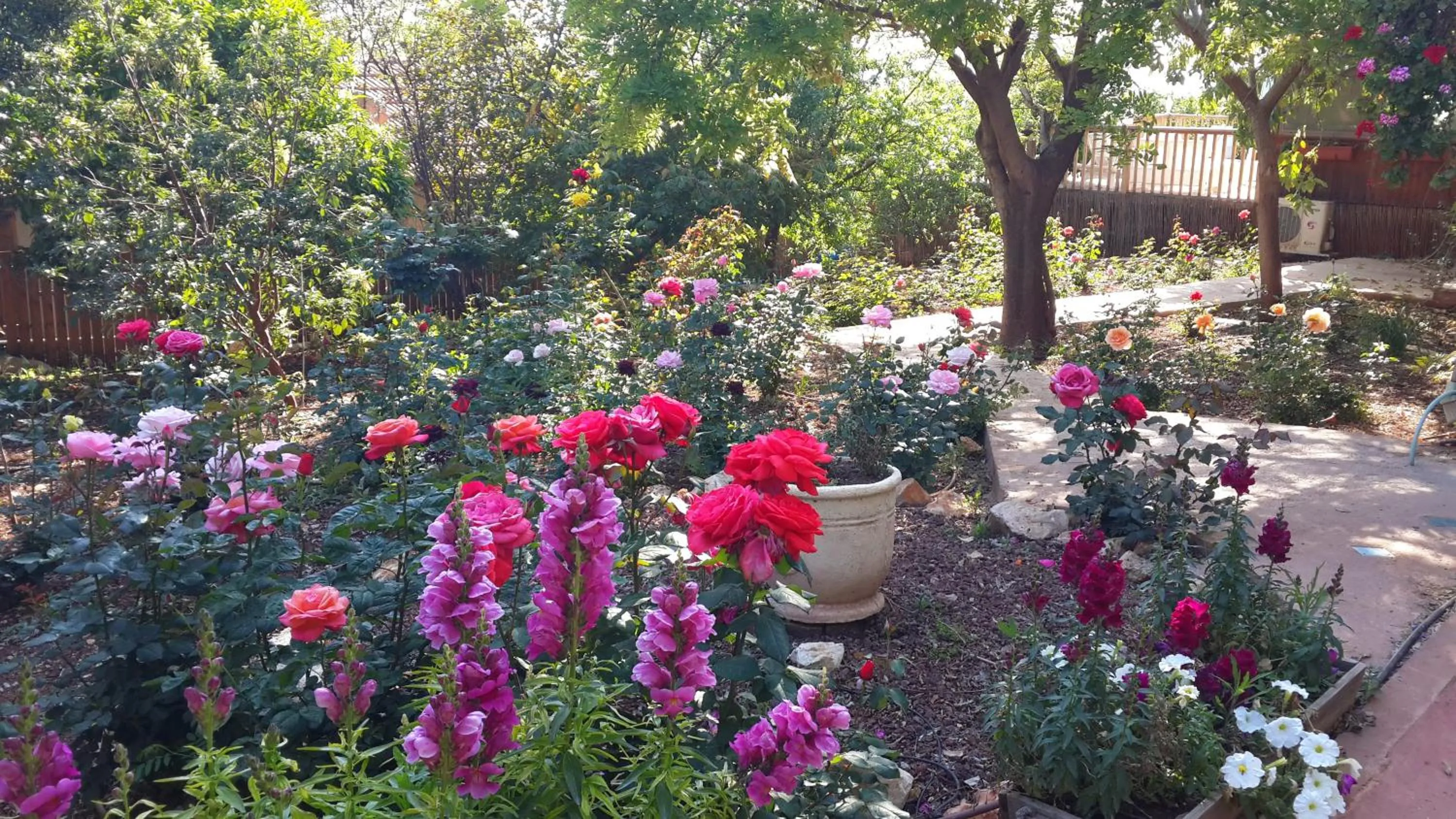 Garden in Betzel Ha'Ella