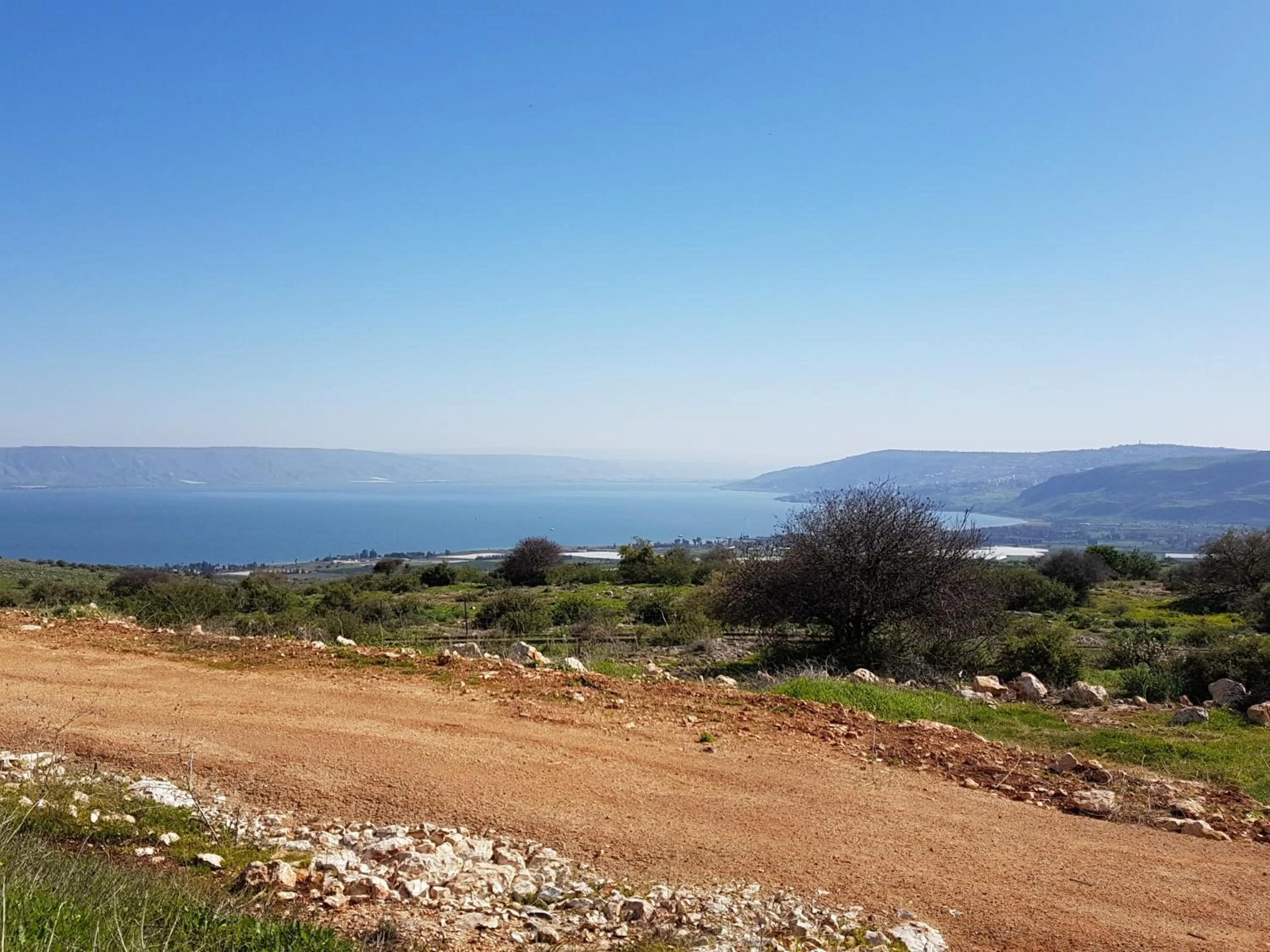 Natural landscape in Betzel Ha'Ella
