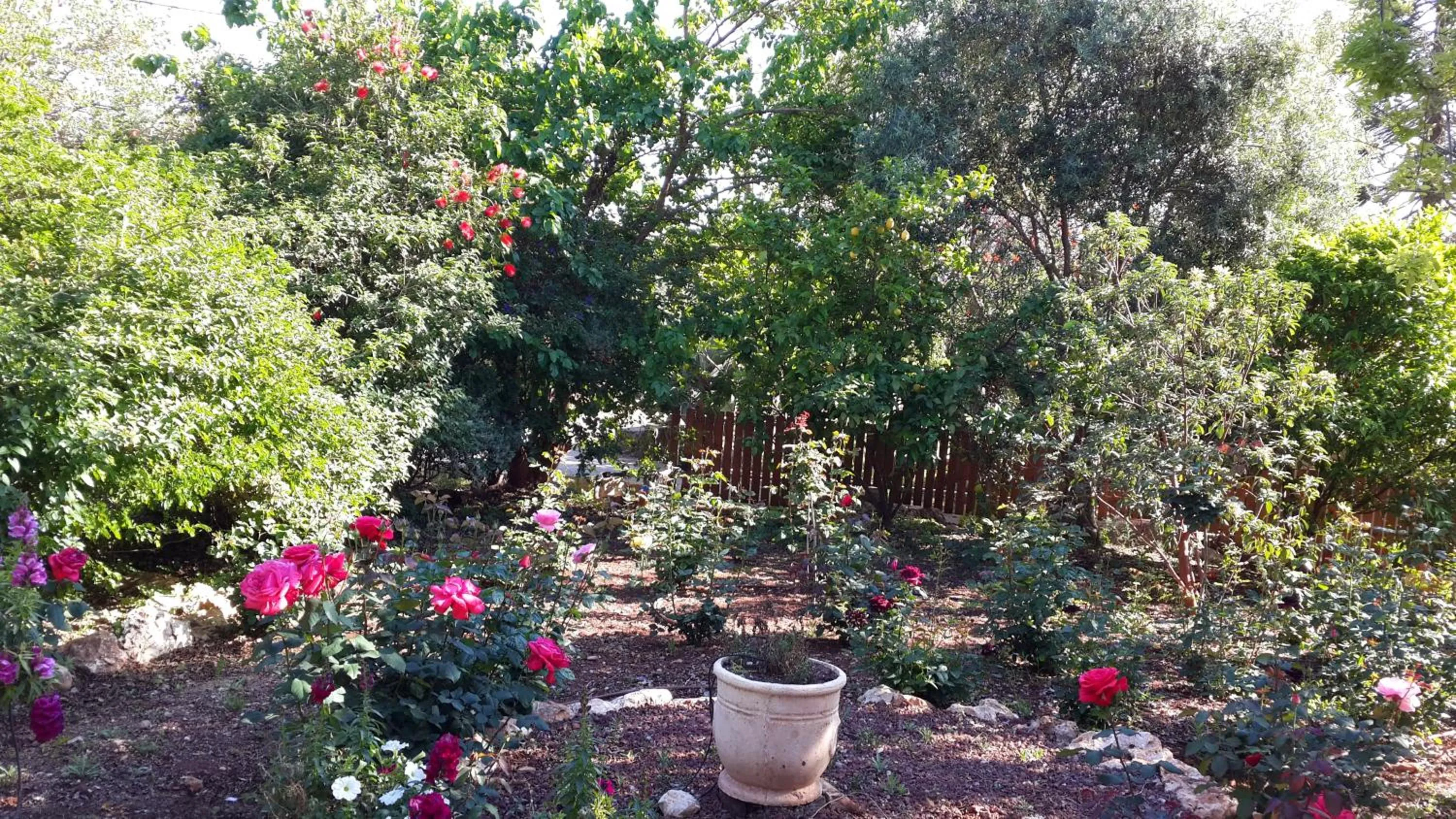 Garden in Betzel Ha'Ella