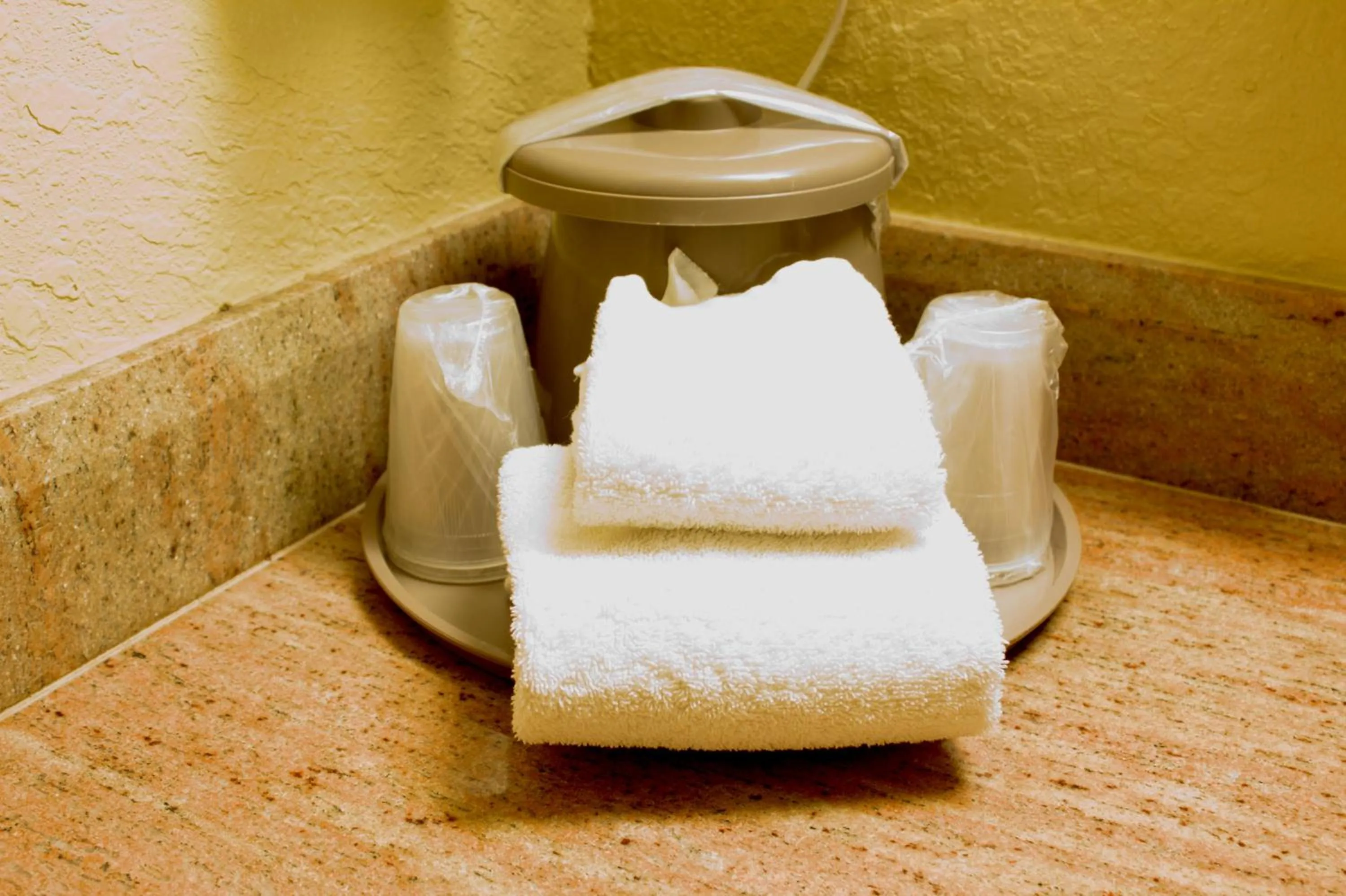 Bathroom in Polynesian Inn