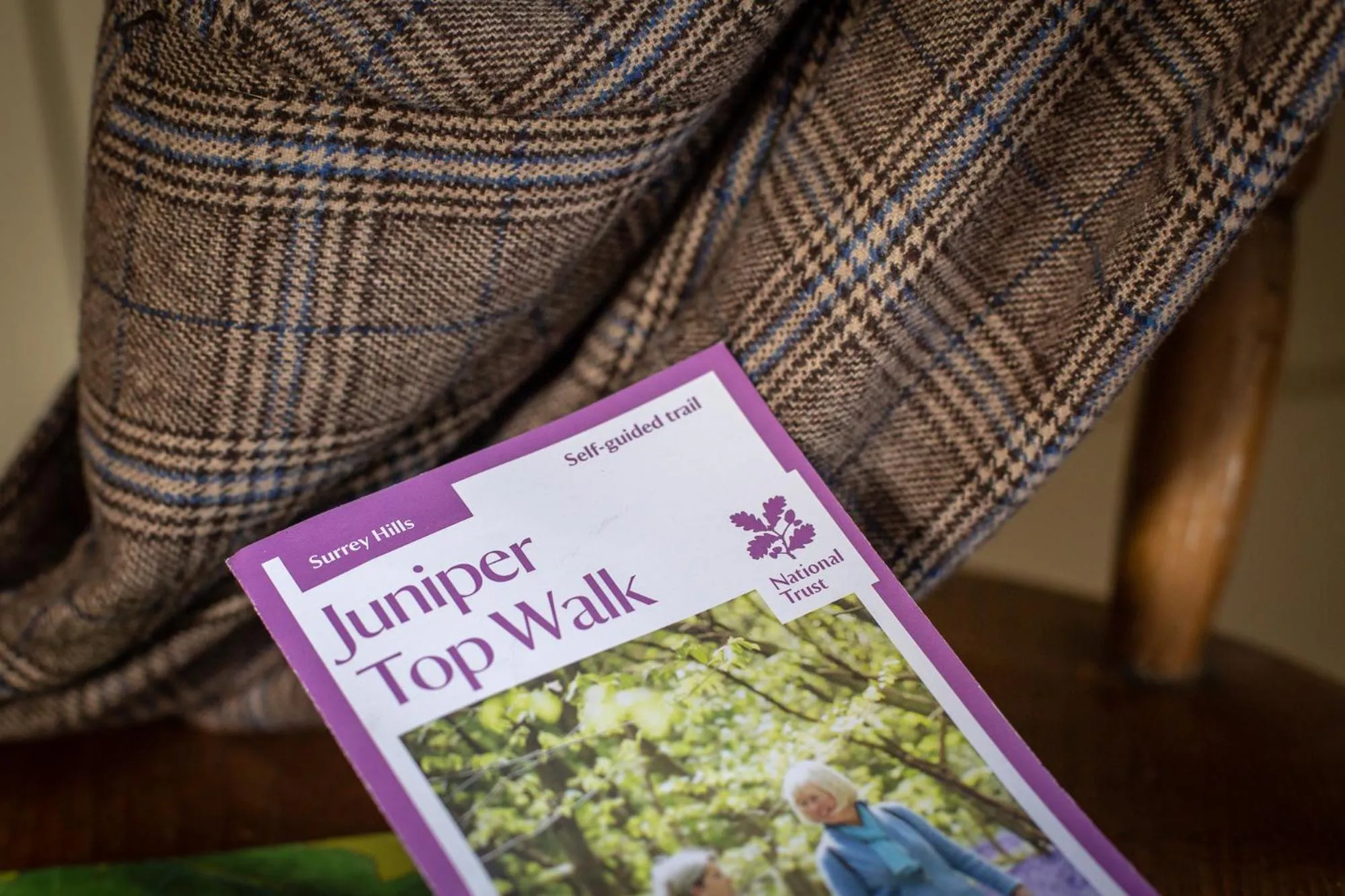 Activities in The Running Horses