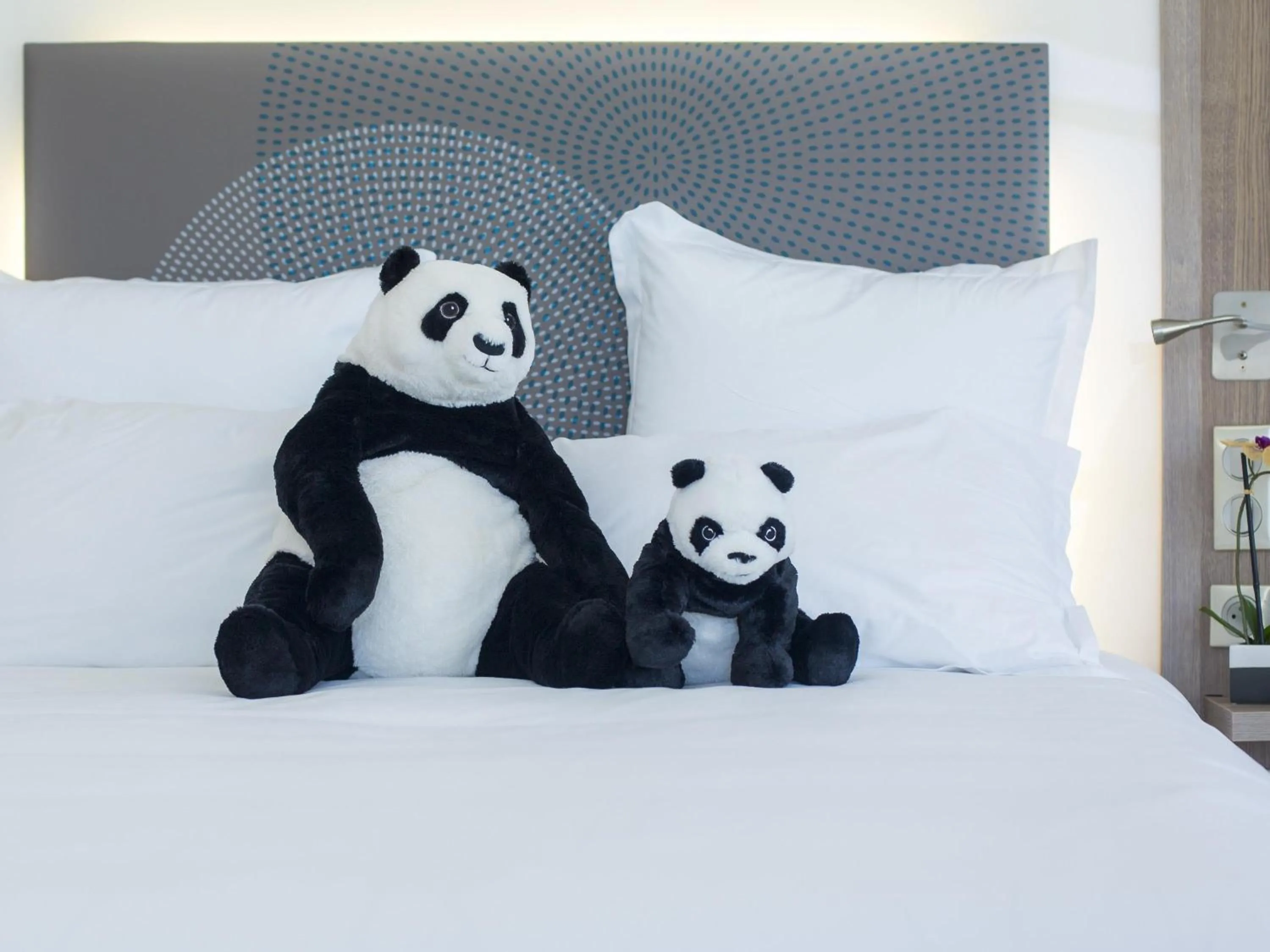 Property building, Bed in Novotel Mohammedia