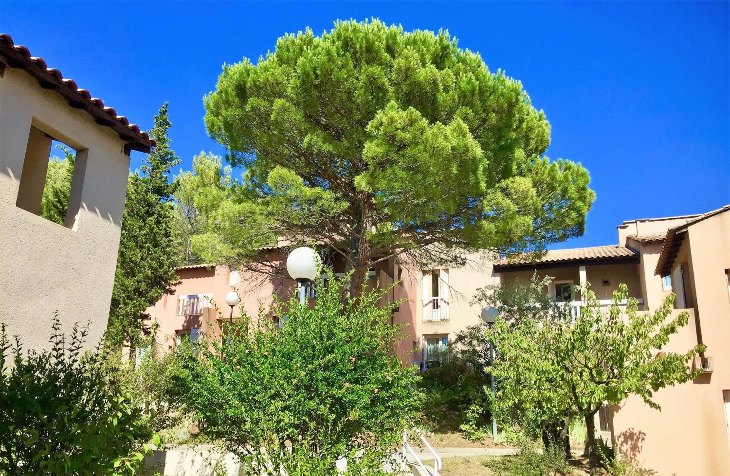 Garden in Village vacances Le Hameau des Oliviers