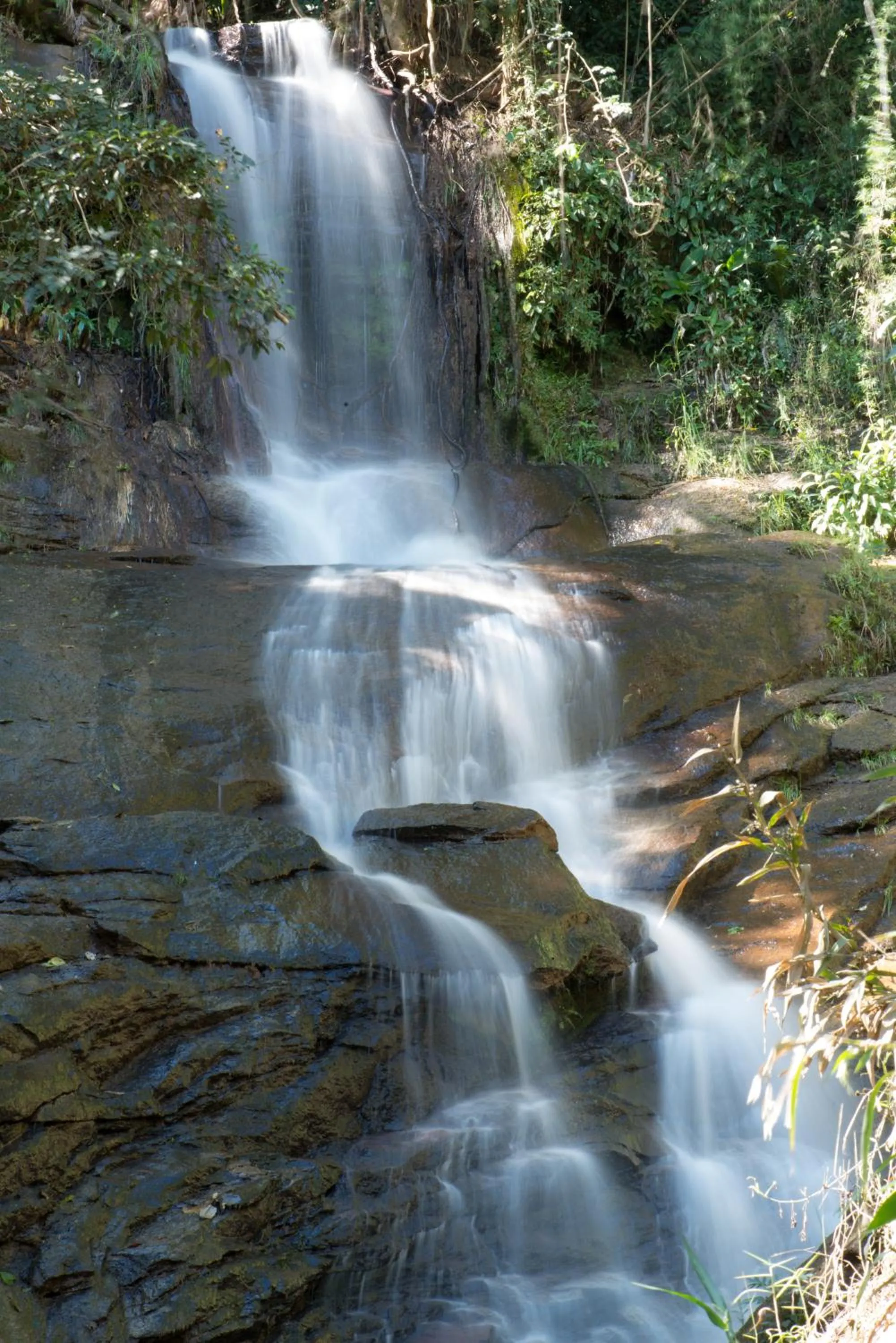Natural landscape in Quinta da Paz Resort