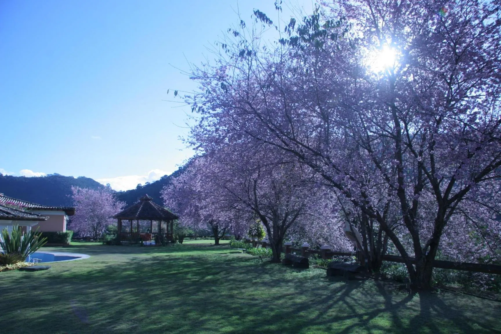 Garden in Quinta da Paz Resort