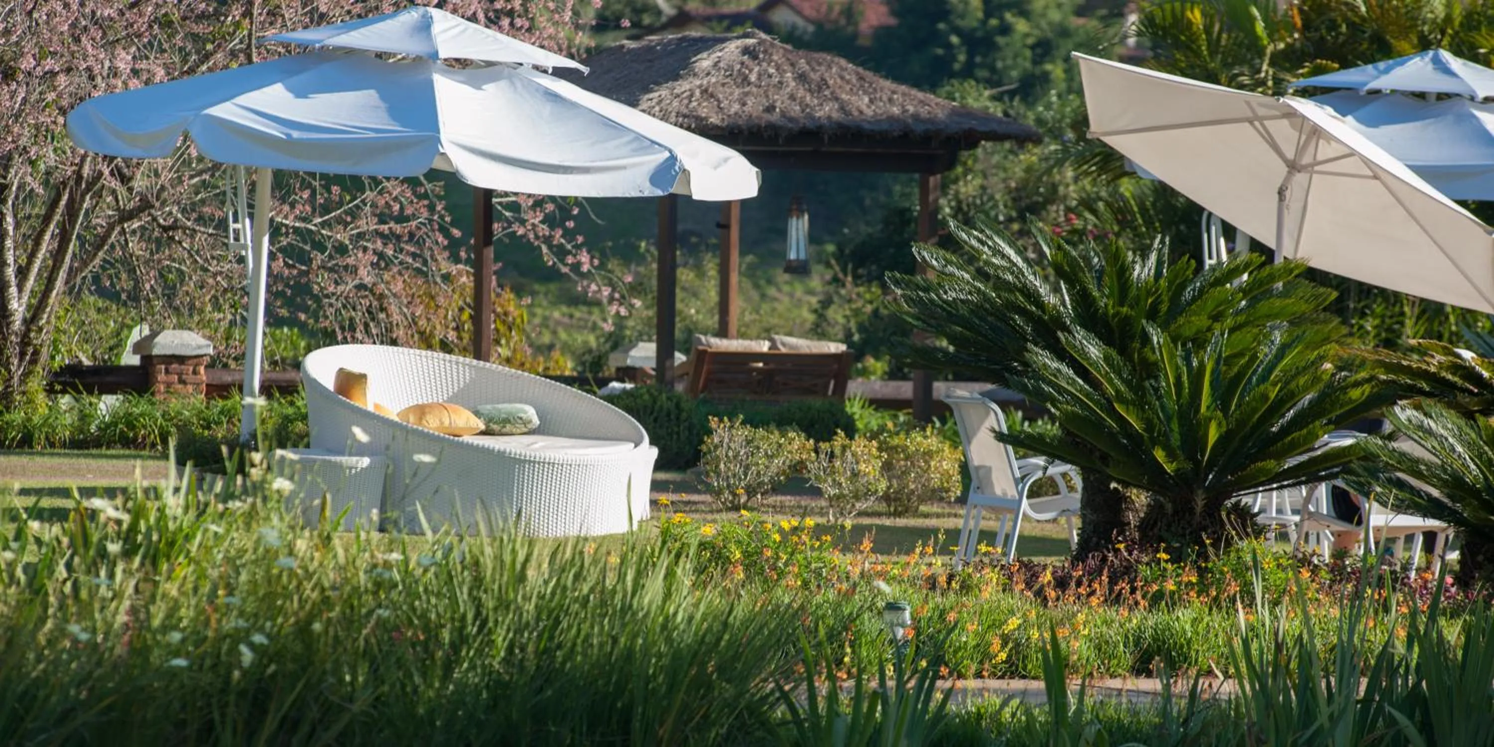 Garden view in Quinta da Paz Resort