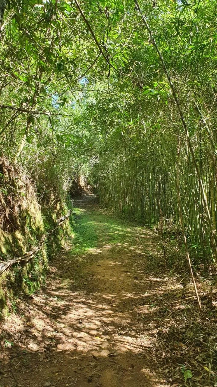Natural landscape in Quinta da Paz Resort