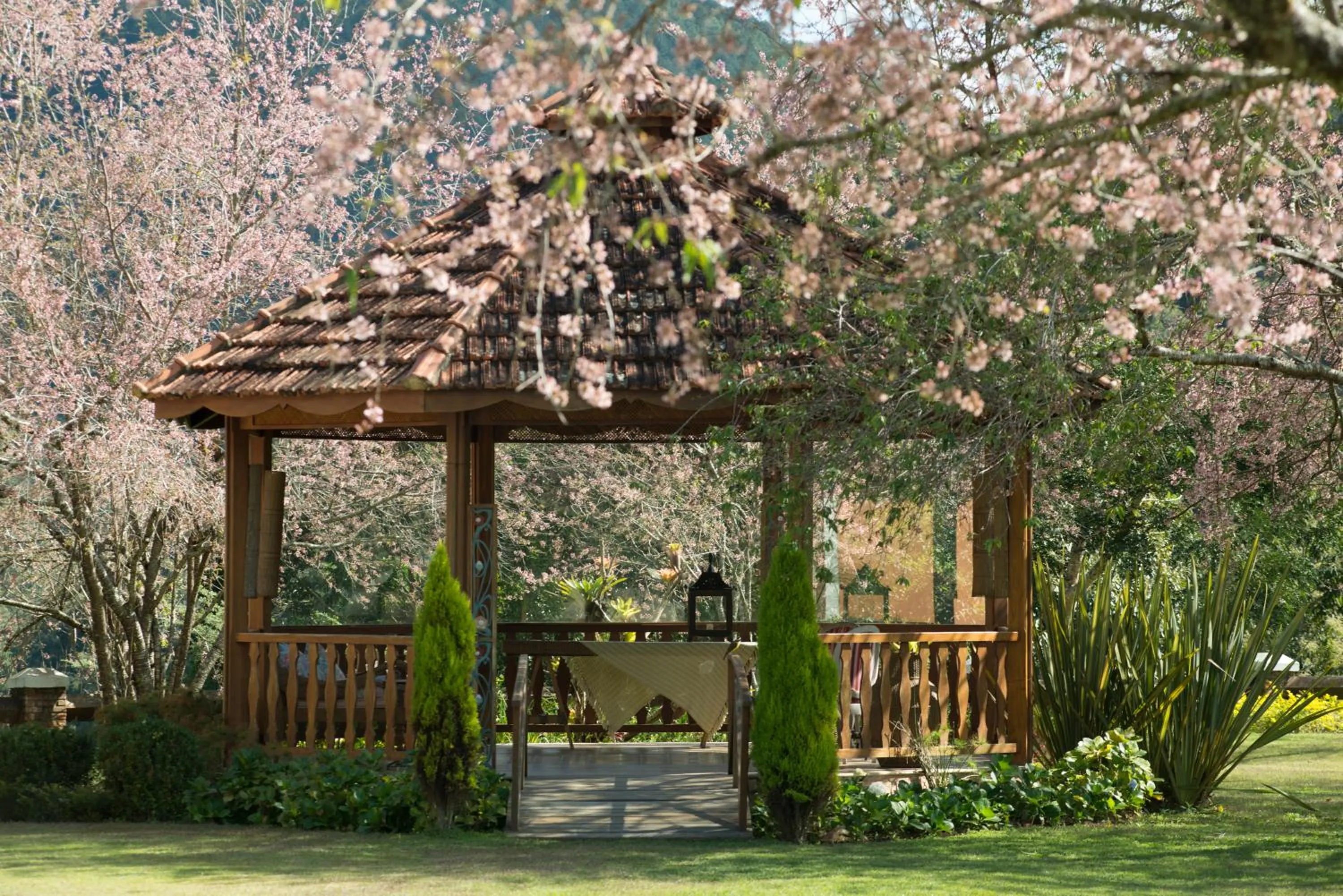 Garden in Quinta da Paz Resort