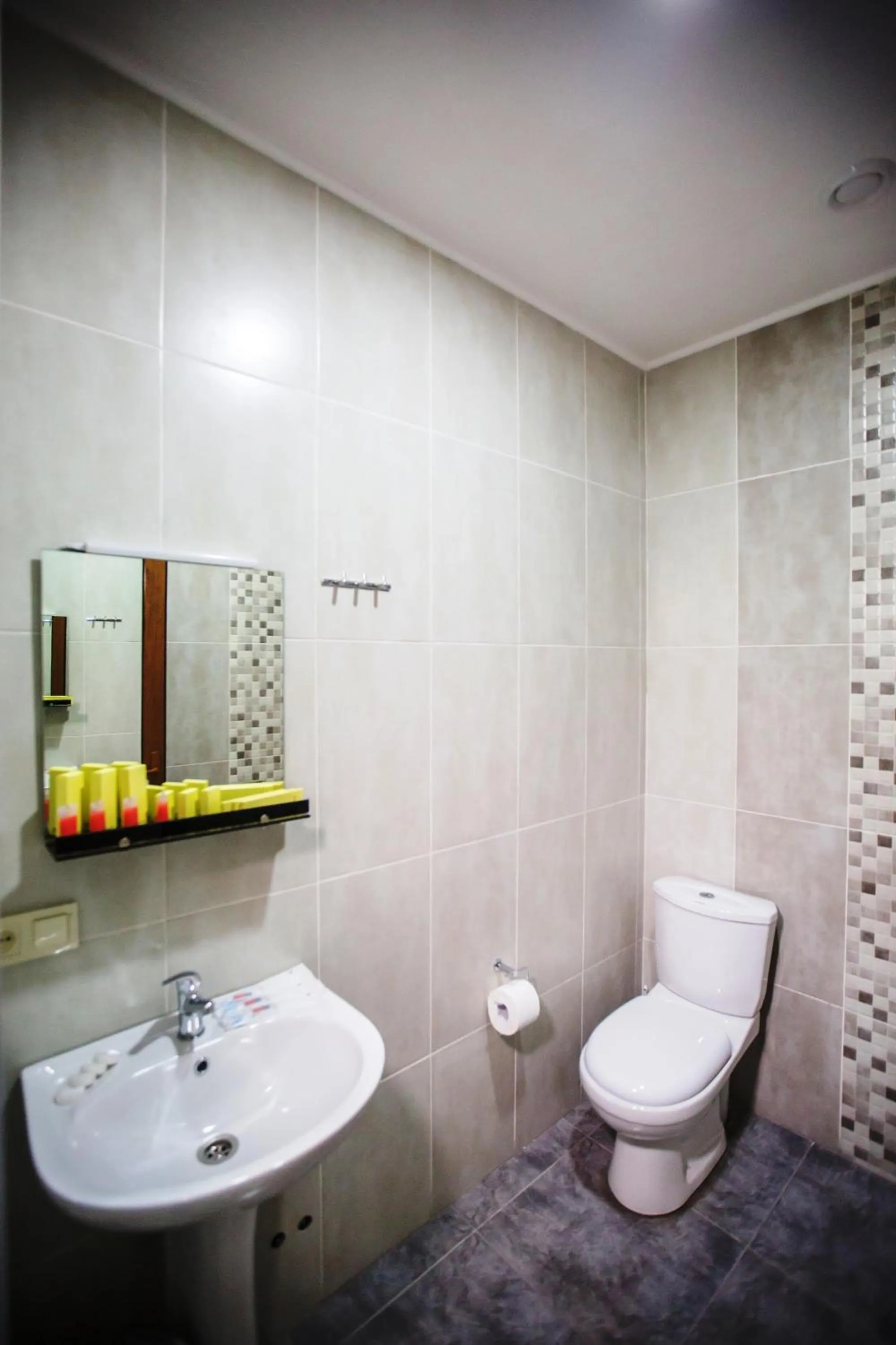 Toilet in Hotel Old Borjomi