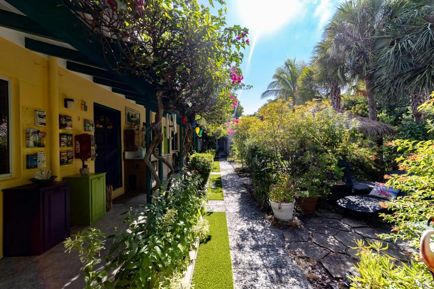 Natural landscape in The Desoto - Oceanview Inn