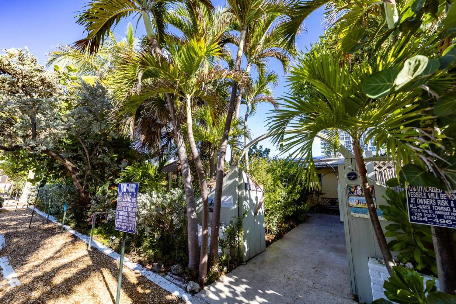Garden in The Desoto - Oceanview Inn