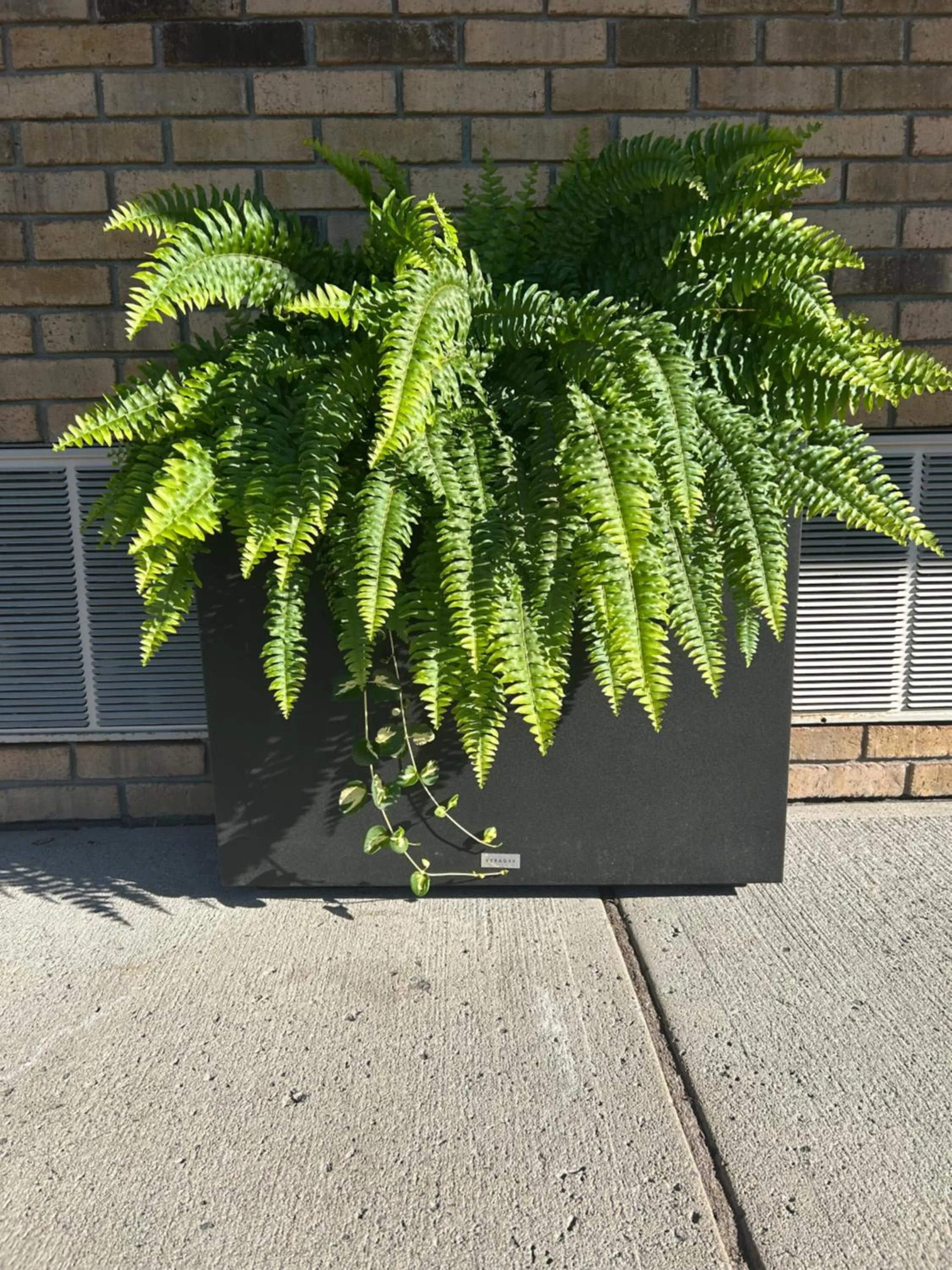 Property building in Rideau Heights Inn
