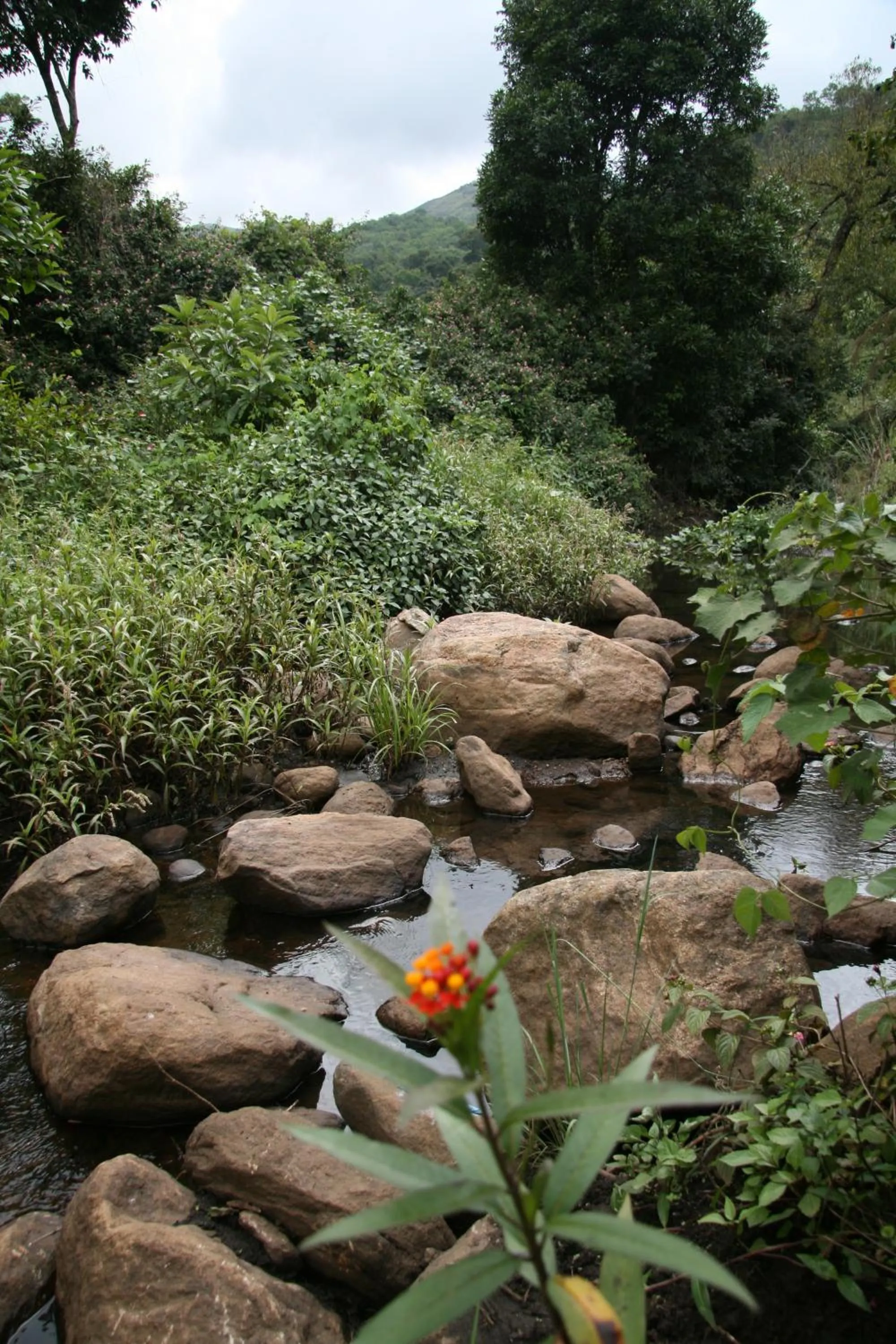 Fishing in Elephant Valley Eco Farm Hotel