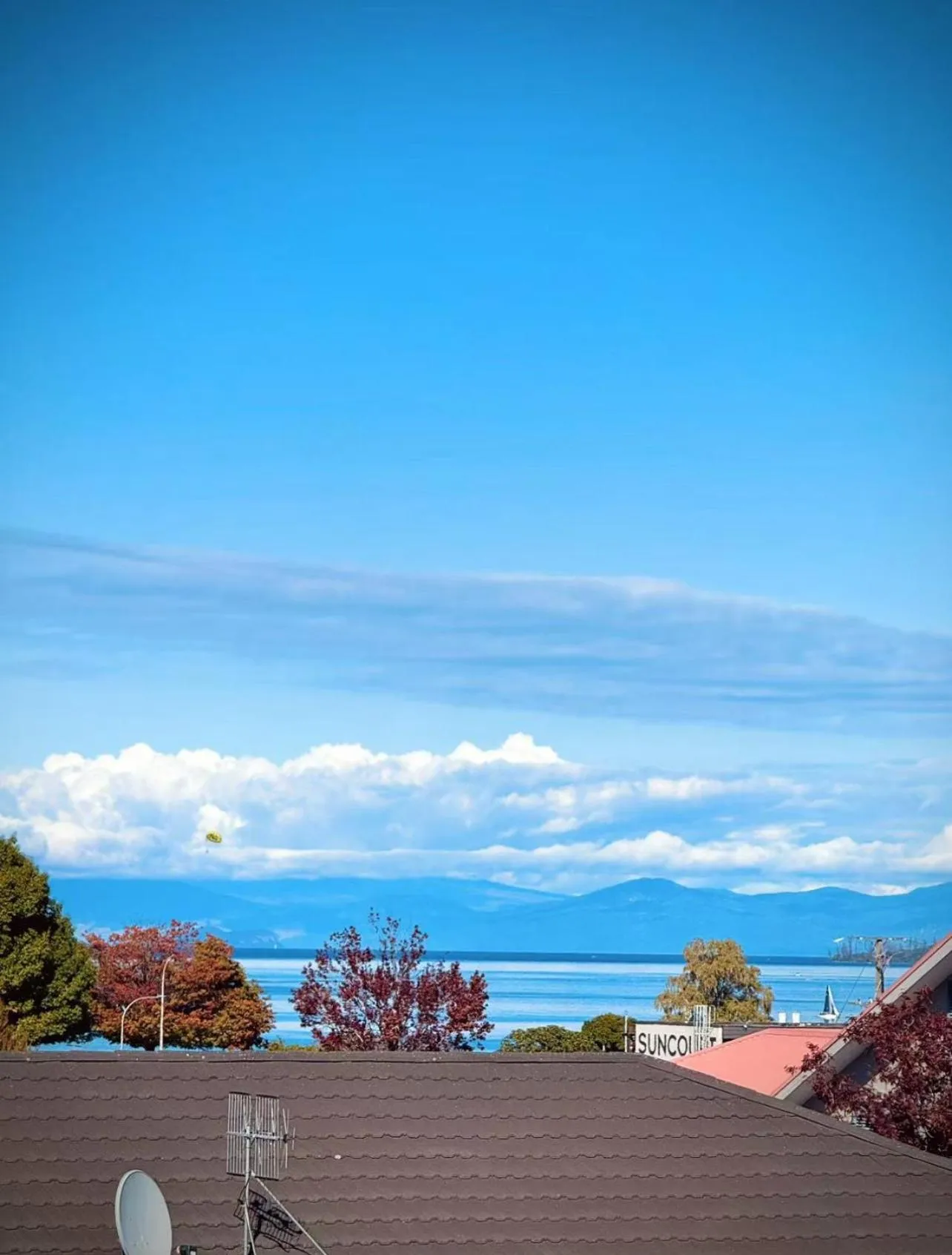 Natural landscape in Mountain View Motel