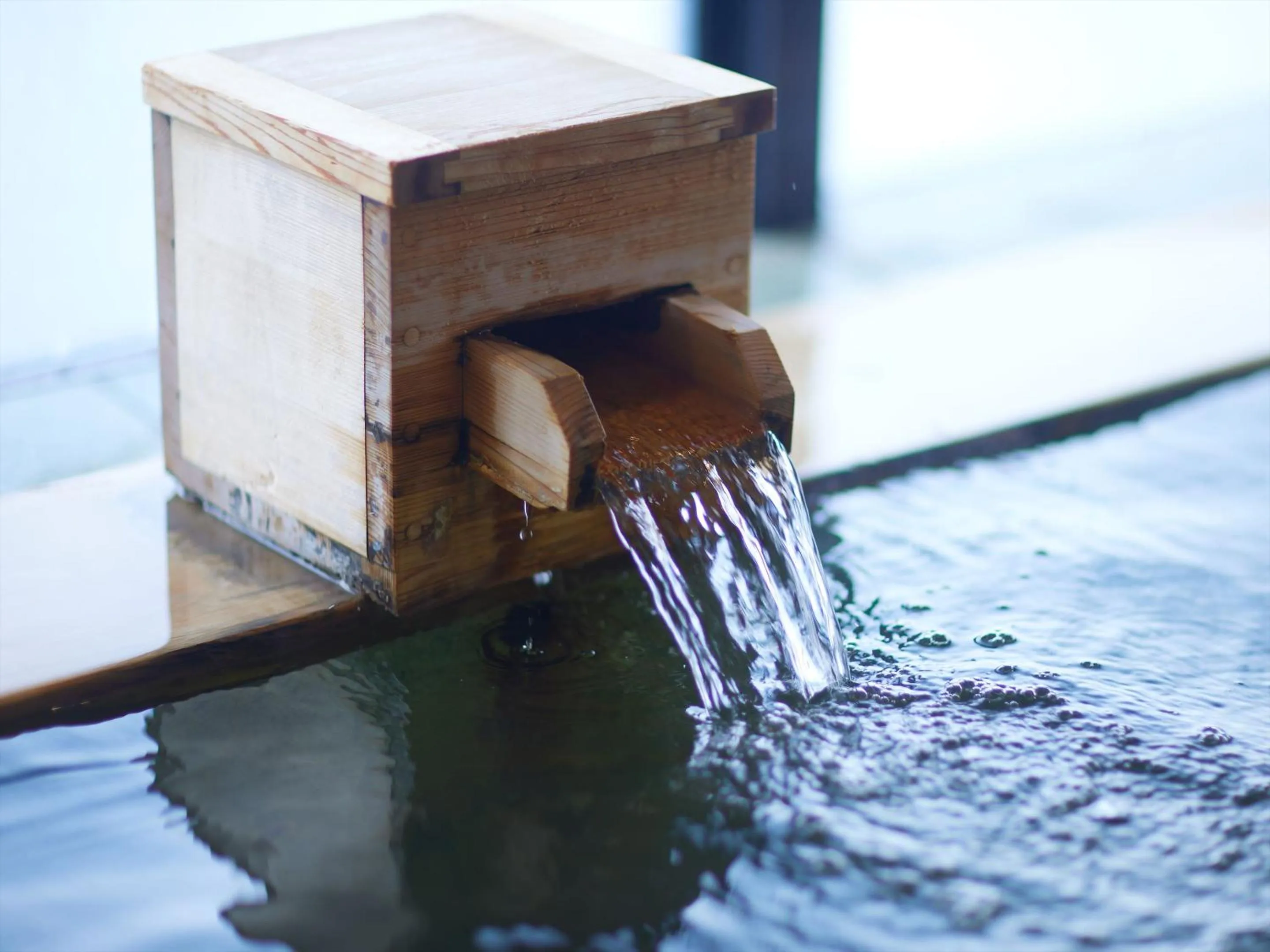 Hot Spring Bath in Kyoto Hot Spring Hatoya Zuihokaku Hotel