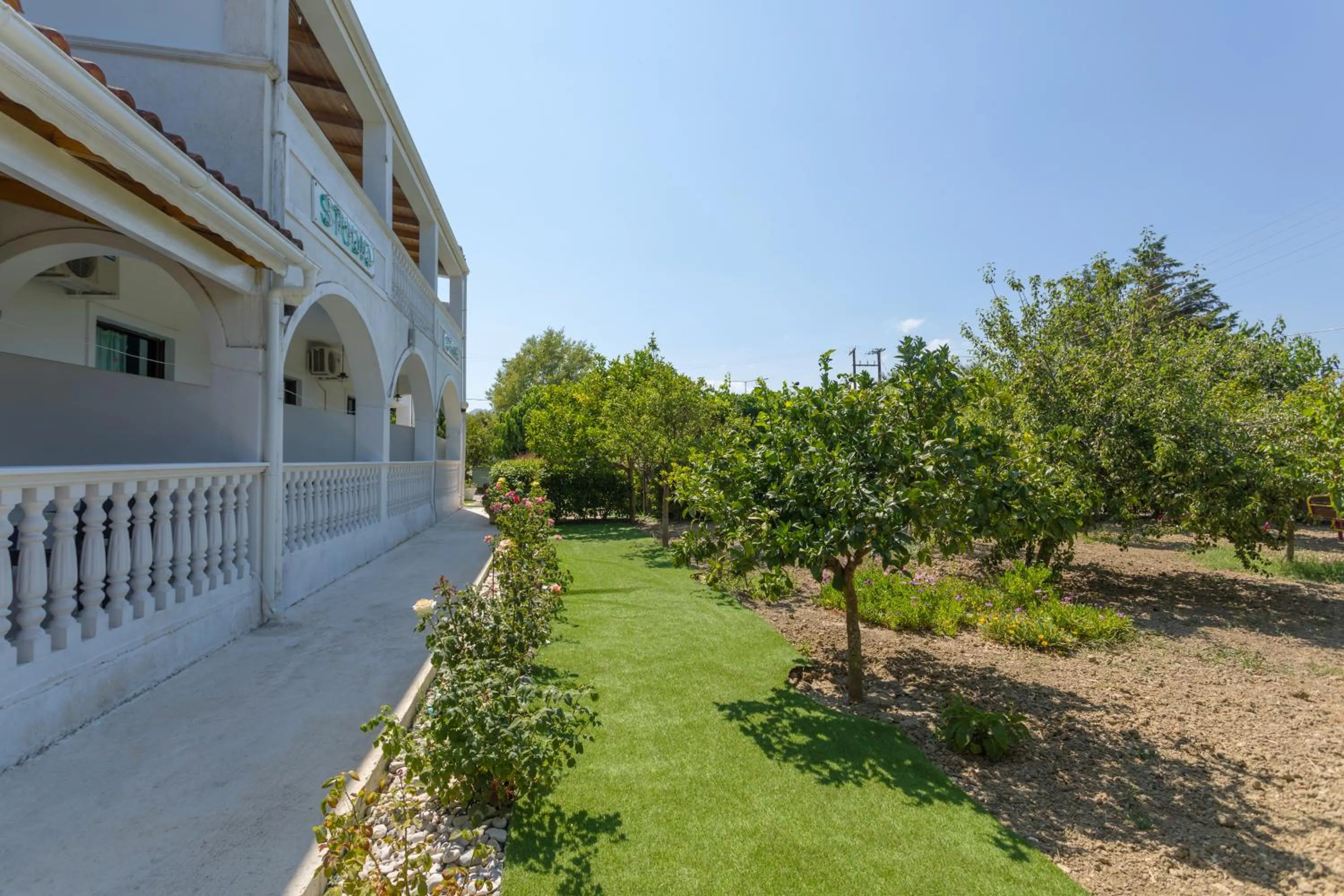 Garden in Studio Stars