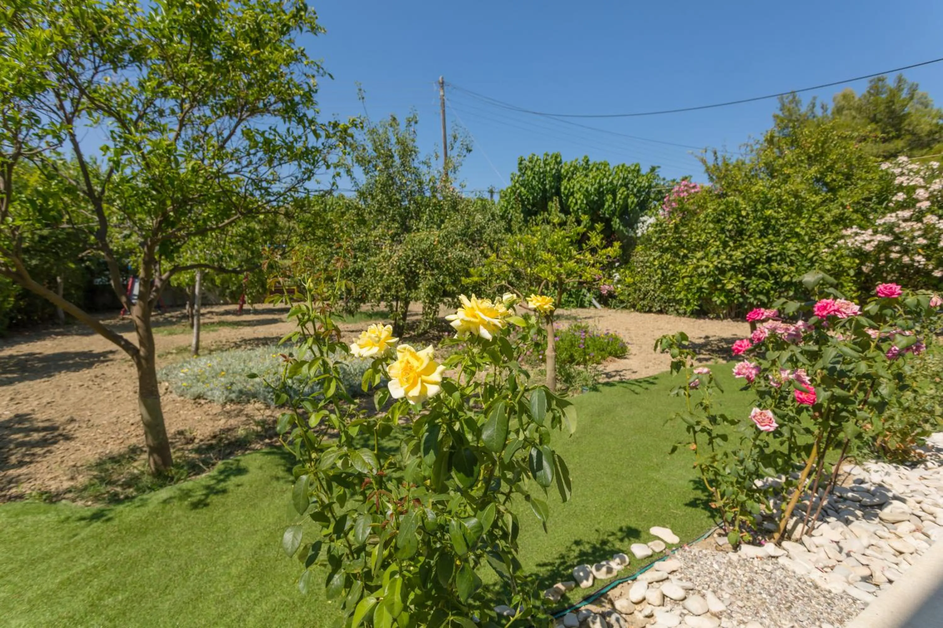 Garden in Studio Stars