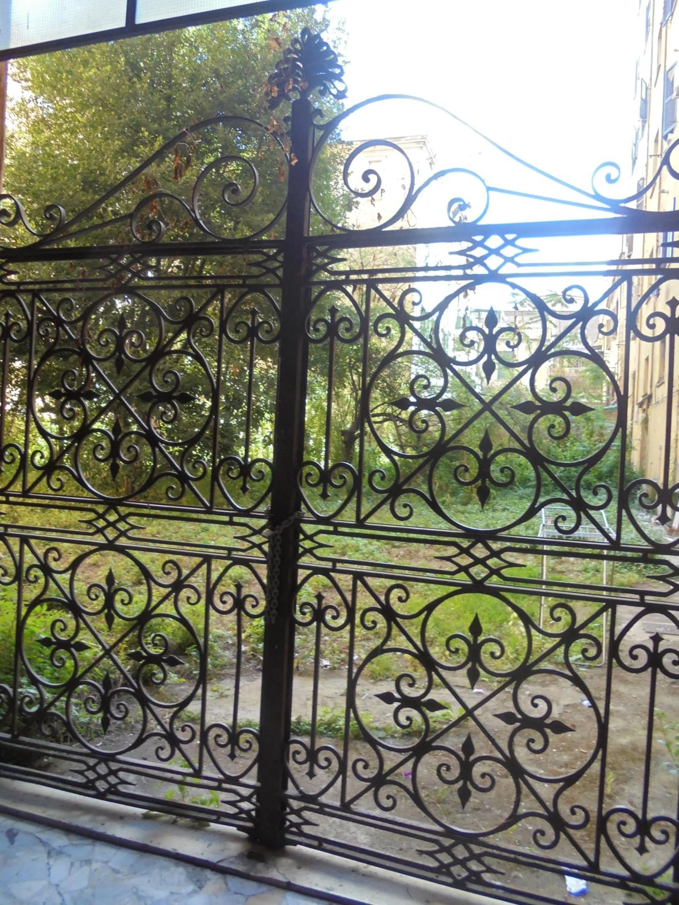 Garden view in Max House