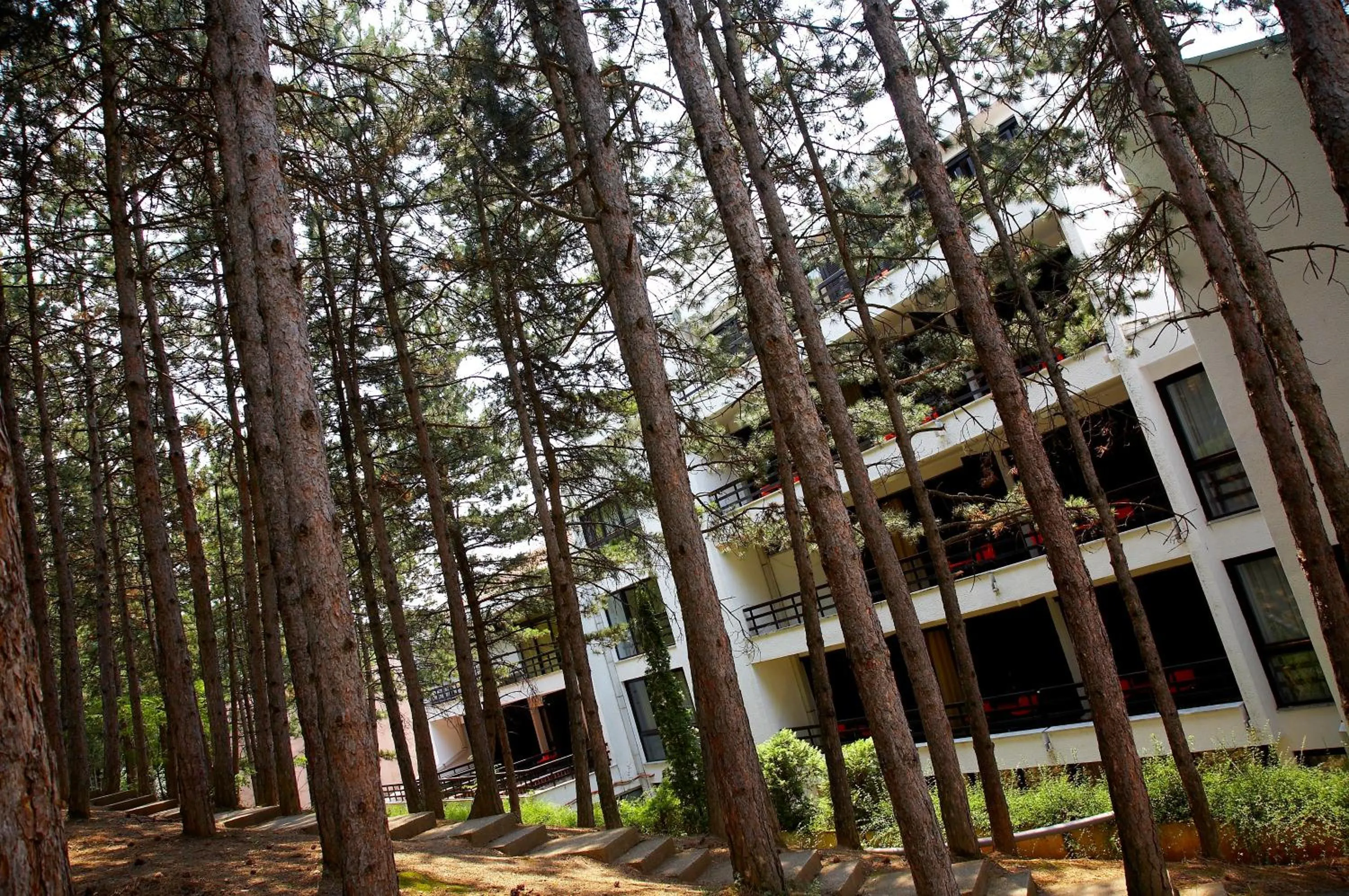 Nearby landmark in Hotel Pela